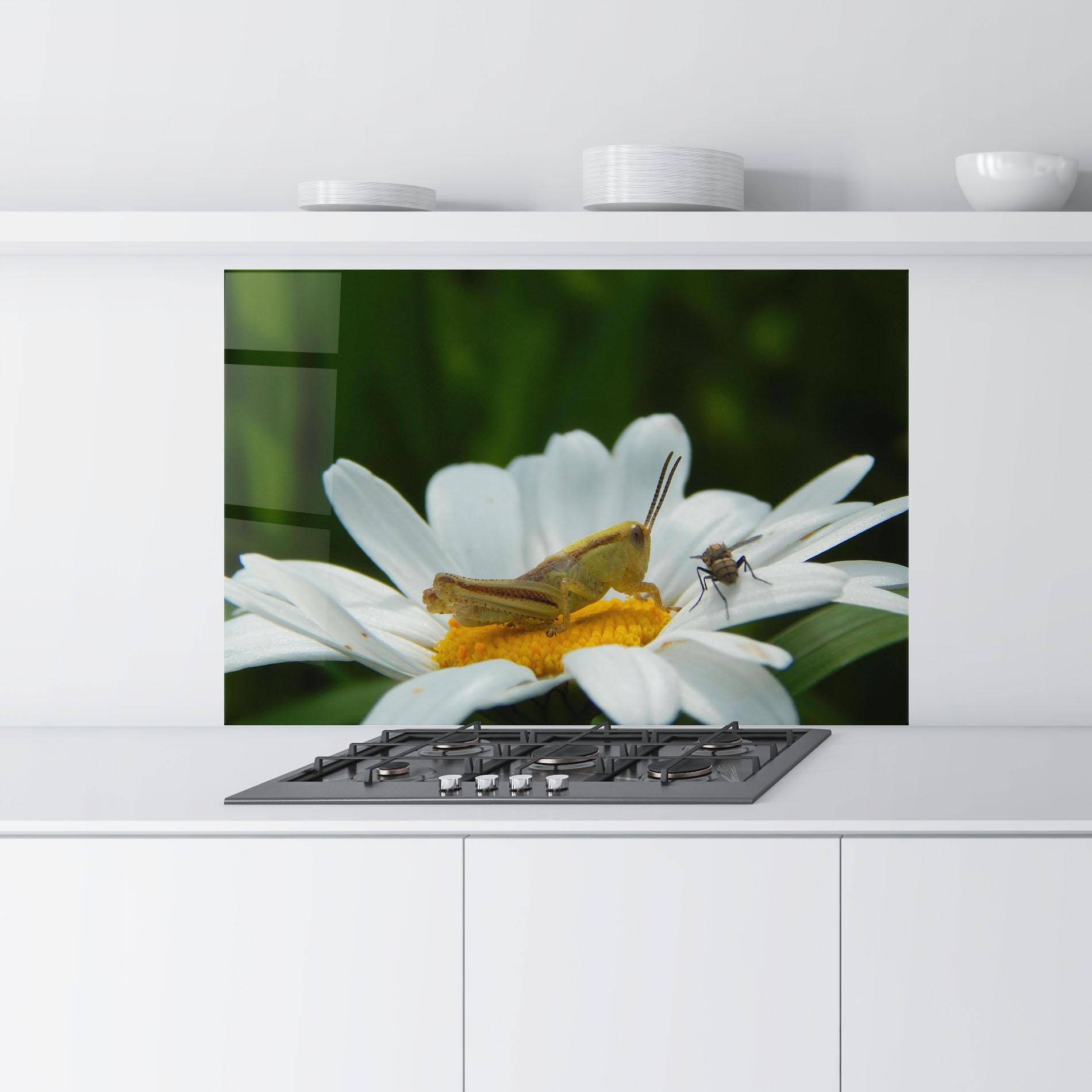 Panou Sticla Bucatarie Cricket On Daisy mockup 9