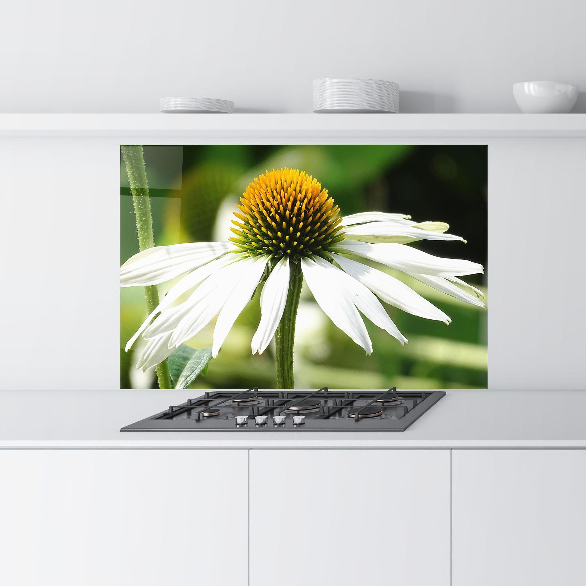 Panou Sticla Bucatarie Green Daisy mockup 9