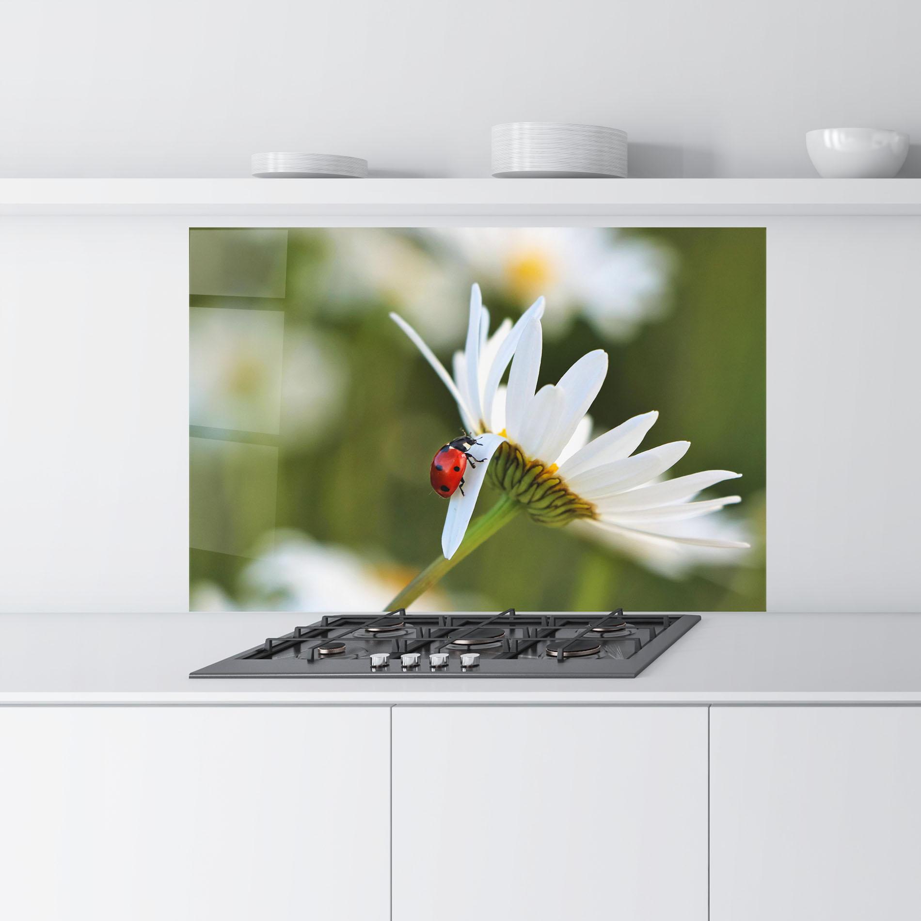 Panou Sticla Bucatarie Ladybug On Daisy Petal mockup 9