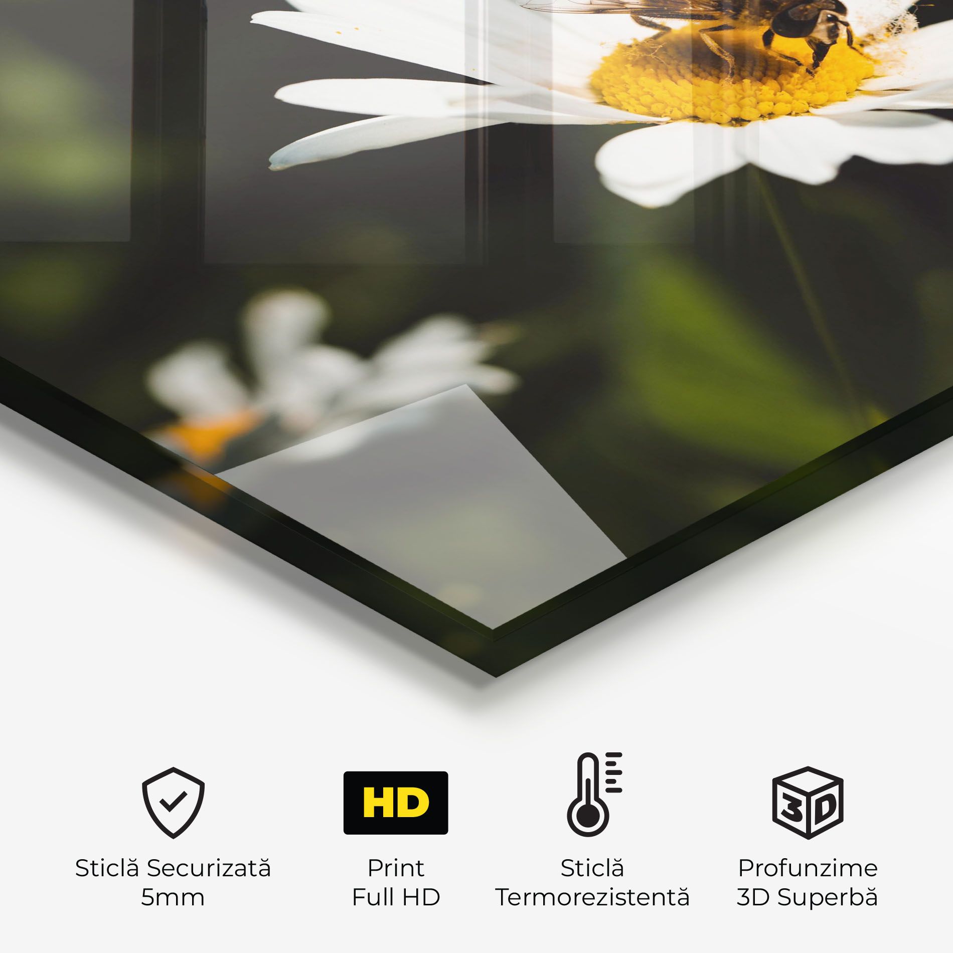 Bee Flying On Daisy mockup 2