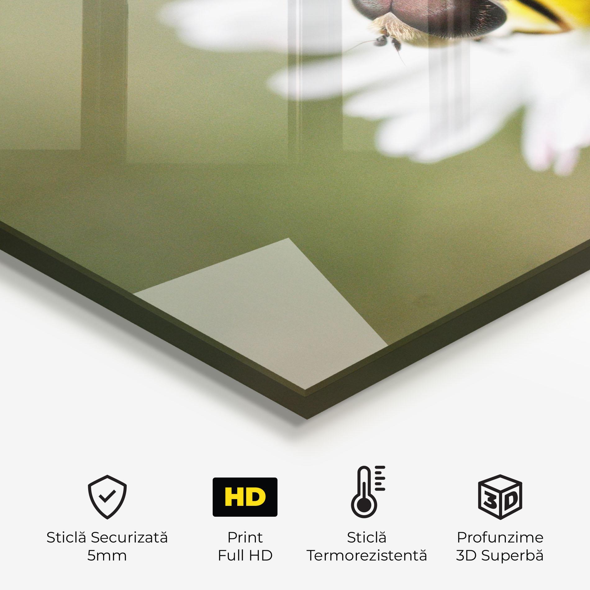 Panou Sticla Bucatarie Bee On Small Daisy mockup 2