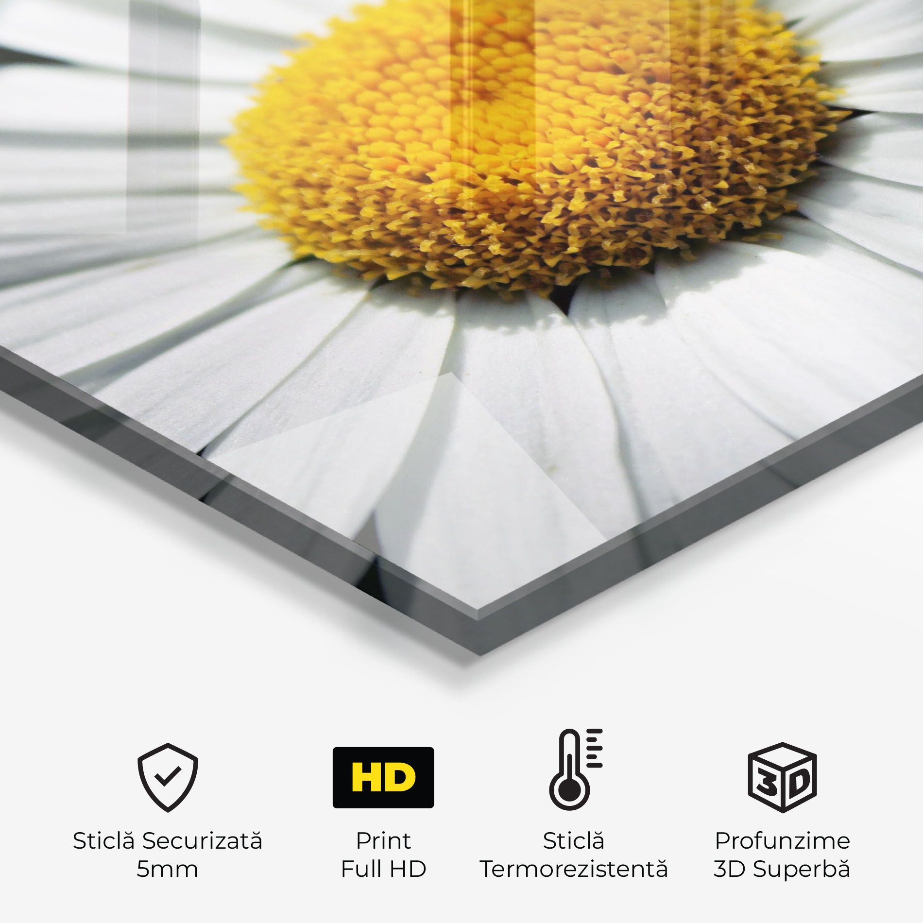 Big Daisies mockup 2