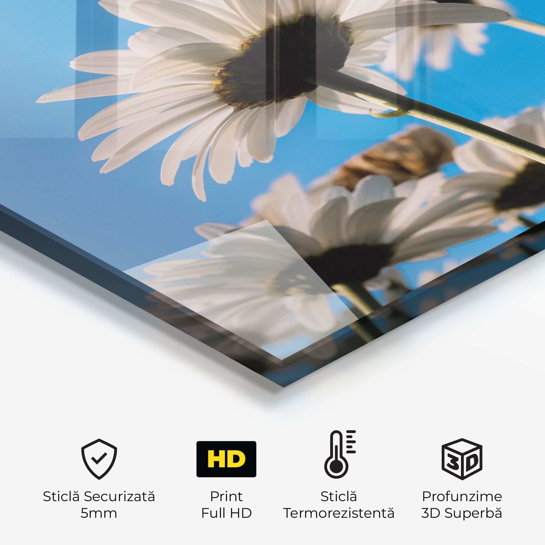 Blue Sky Daisy mockup 2