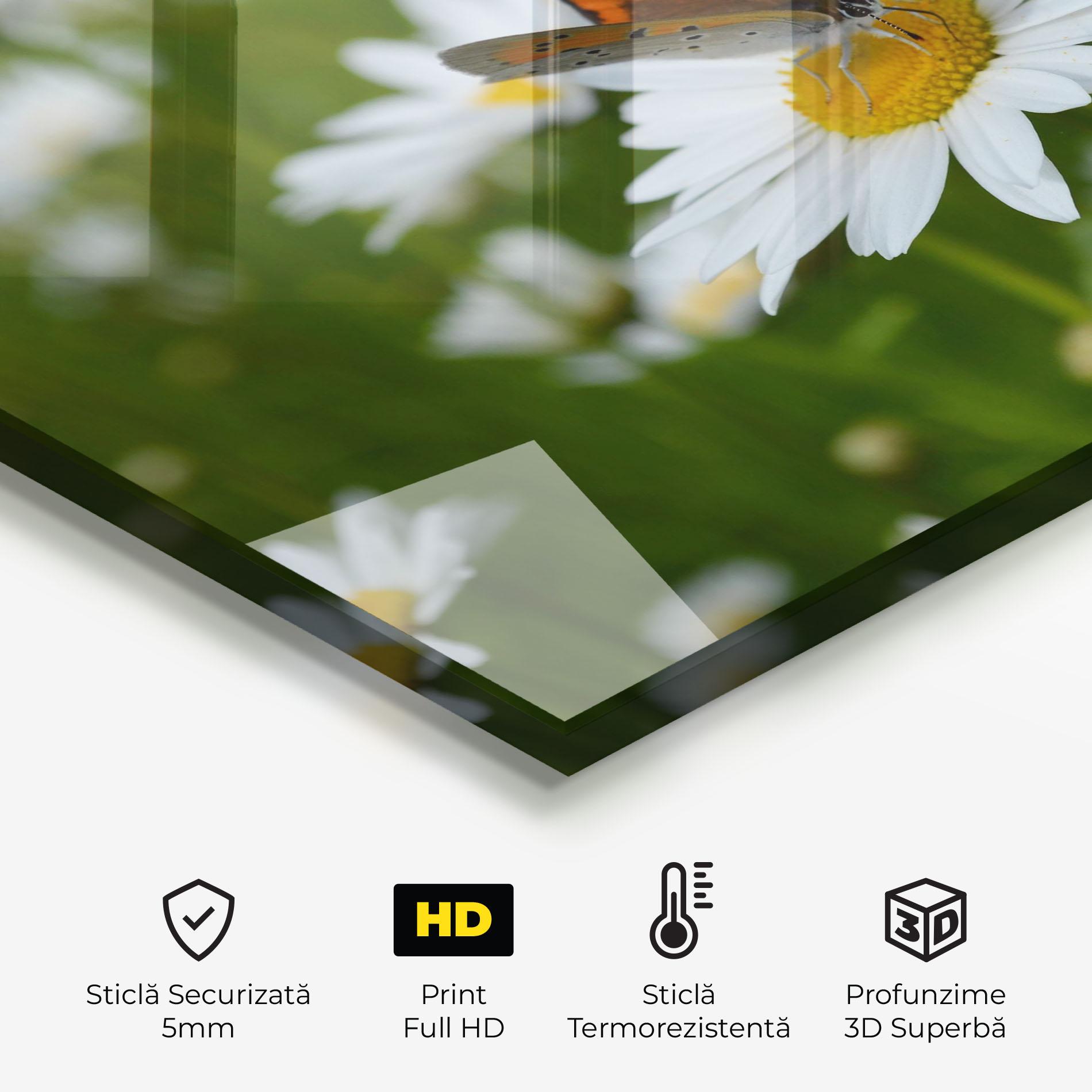 Panou Sticla Bucatarie Butterfly On Daisy mockup 2
