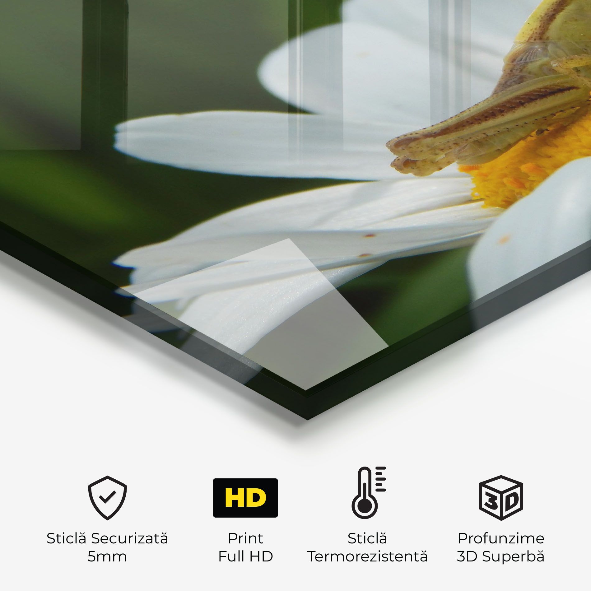 Cricket On Daisy mockup 2