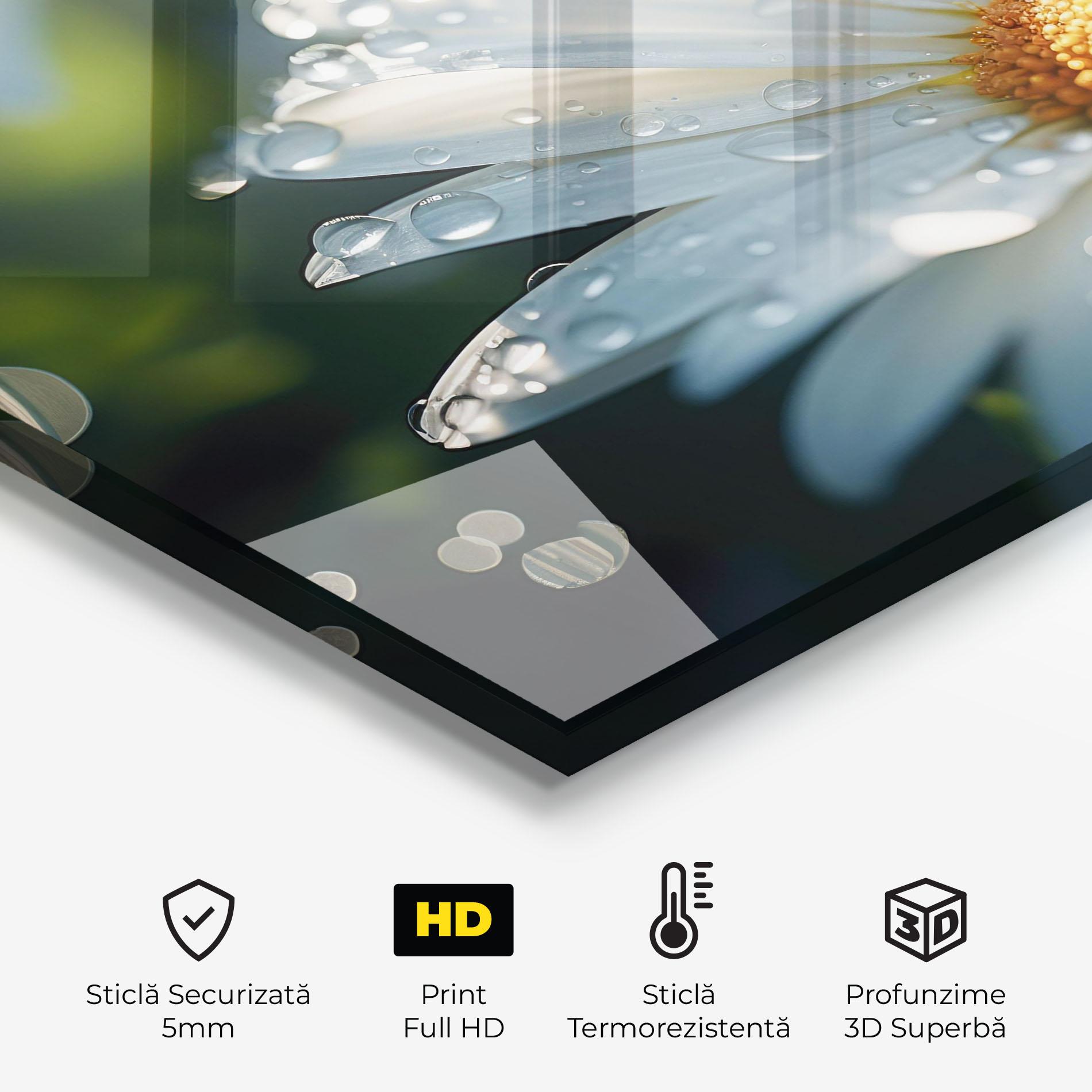 Panou Sticla Bucatarie Daisy After Rain Close Up mockup 2