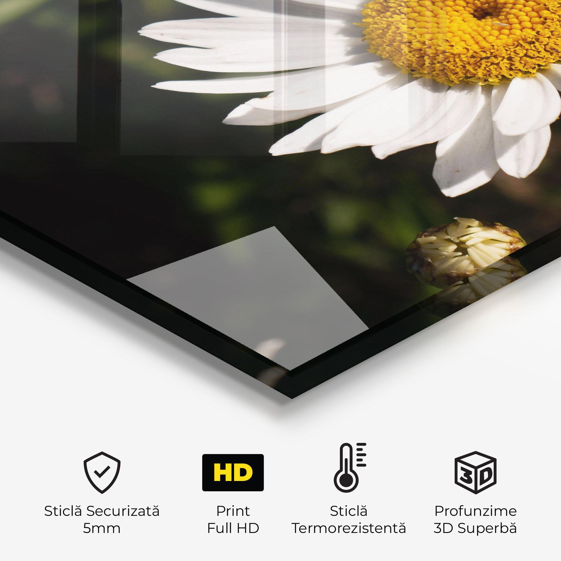 Panou Sticla Bucatarie Daisy Enjoying The Sun mockup 2