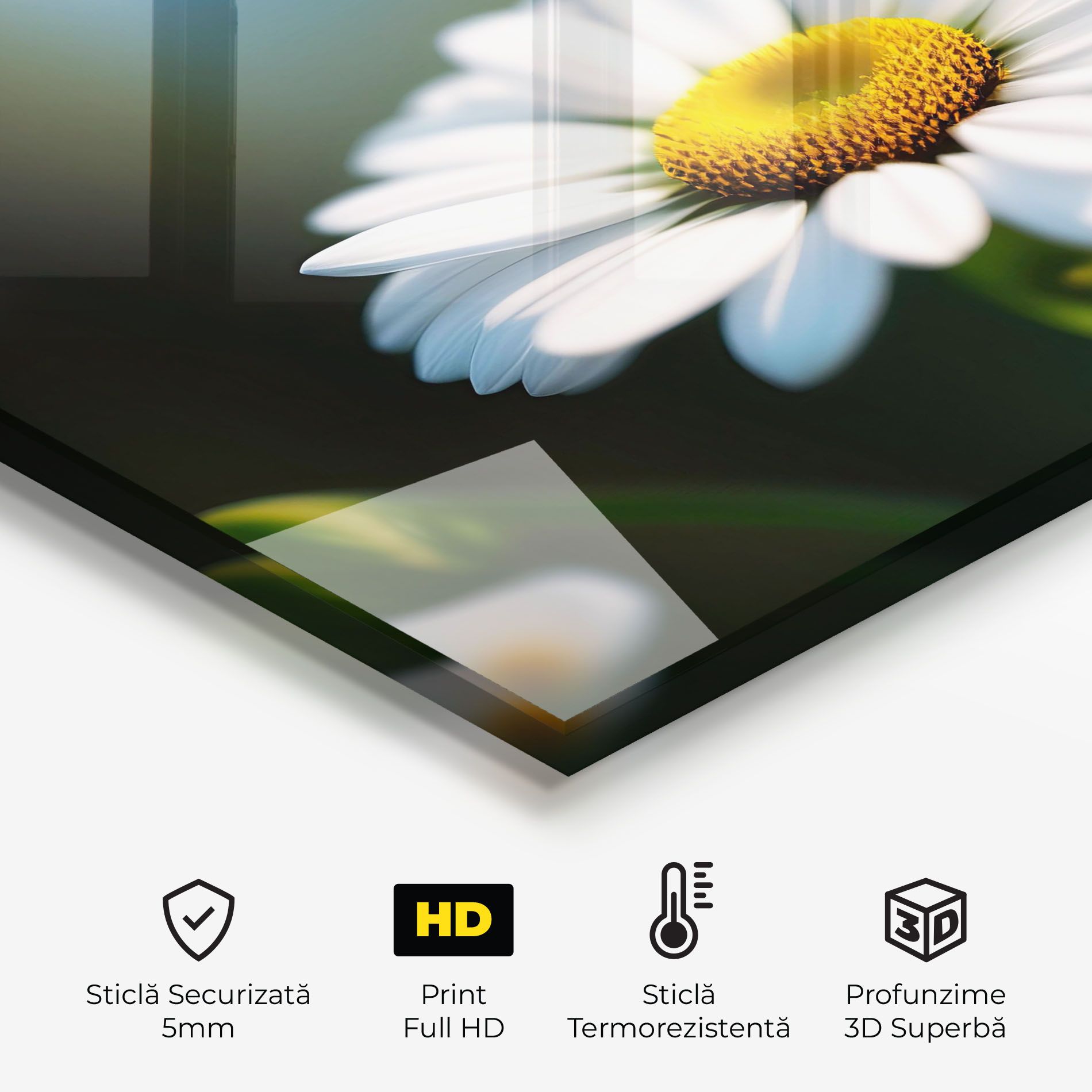 Daisy In The Sun mockup 2