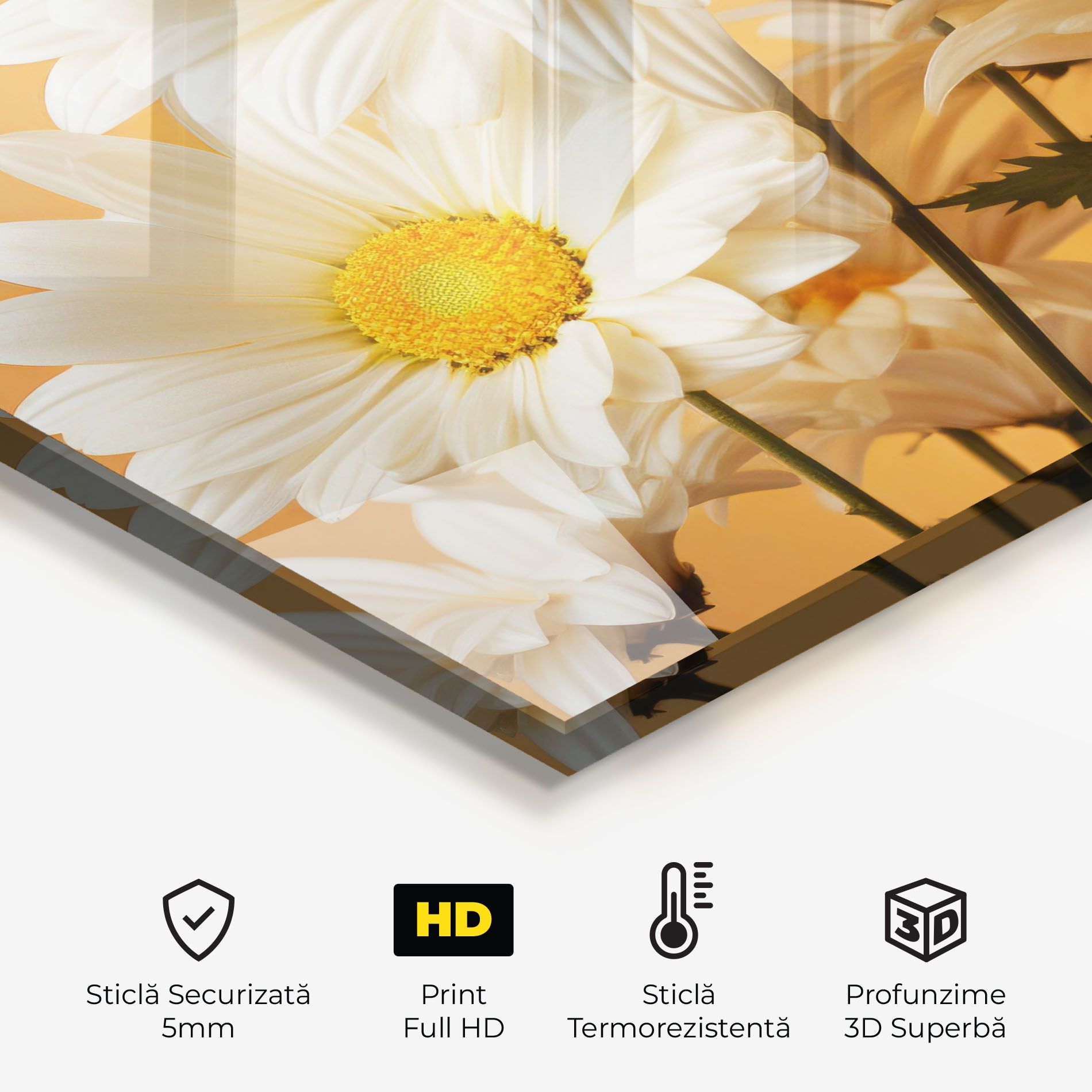 Daisy On Orange mockup 2