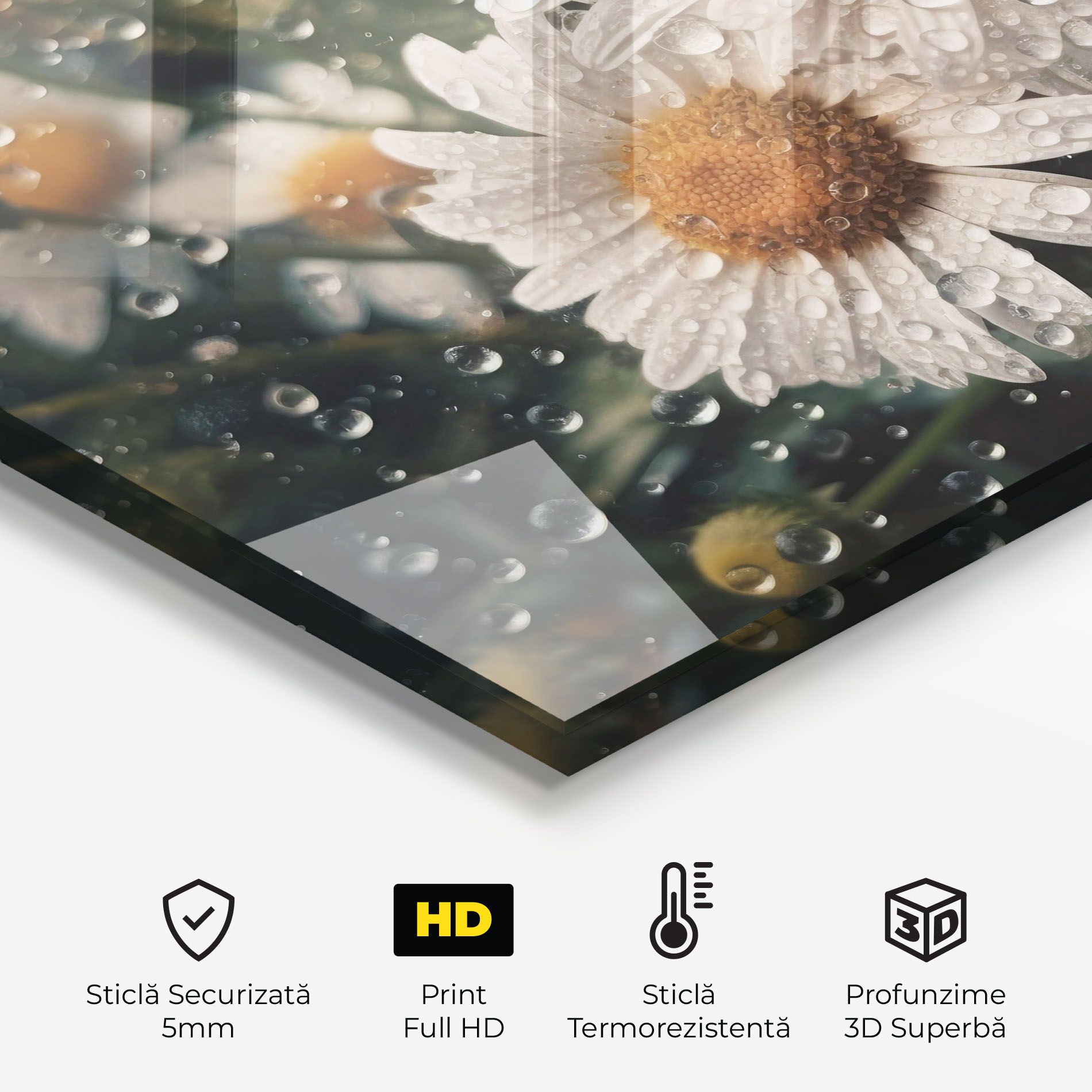 Daisy View After Rain mockup 2