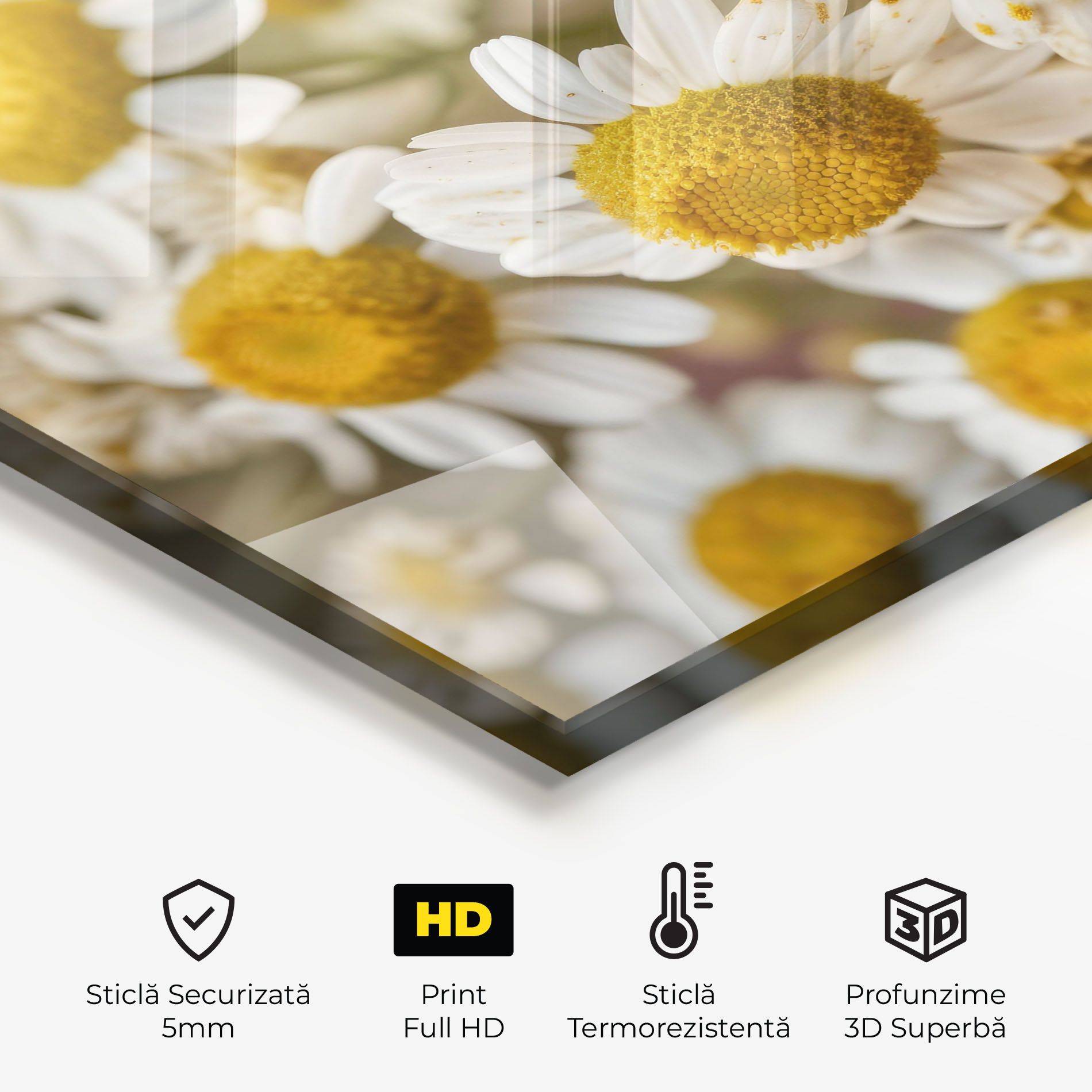 Daisy Wall mockup 2