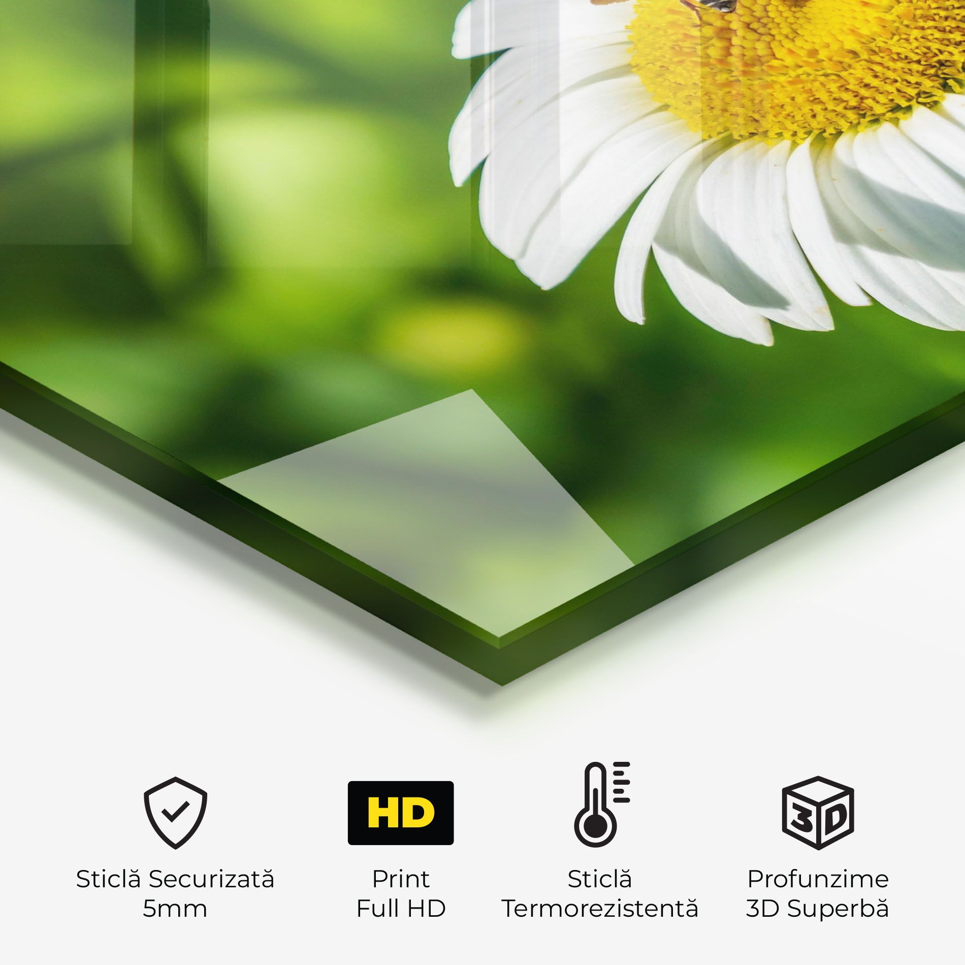 Flying On The Daisy mockup 2