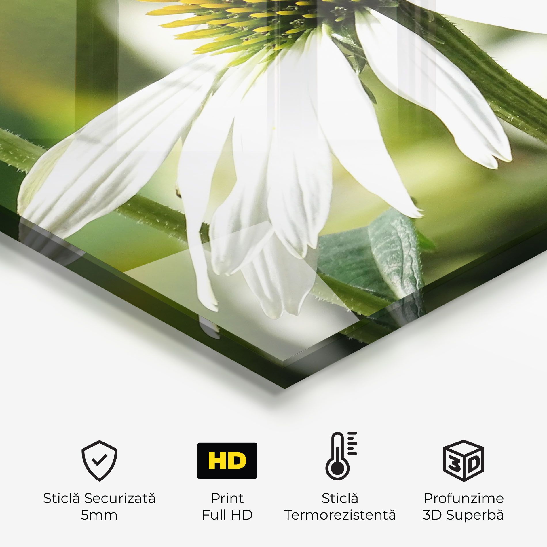 Green Daisy mockup 2