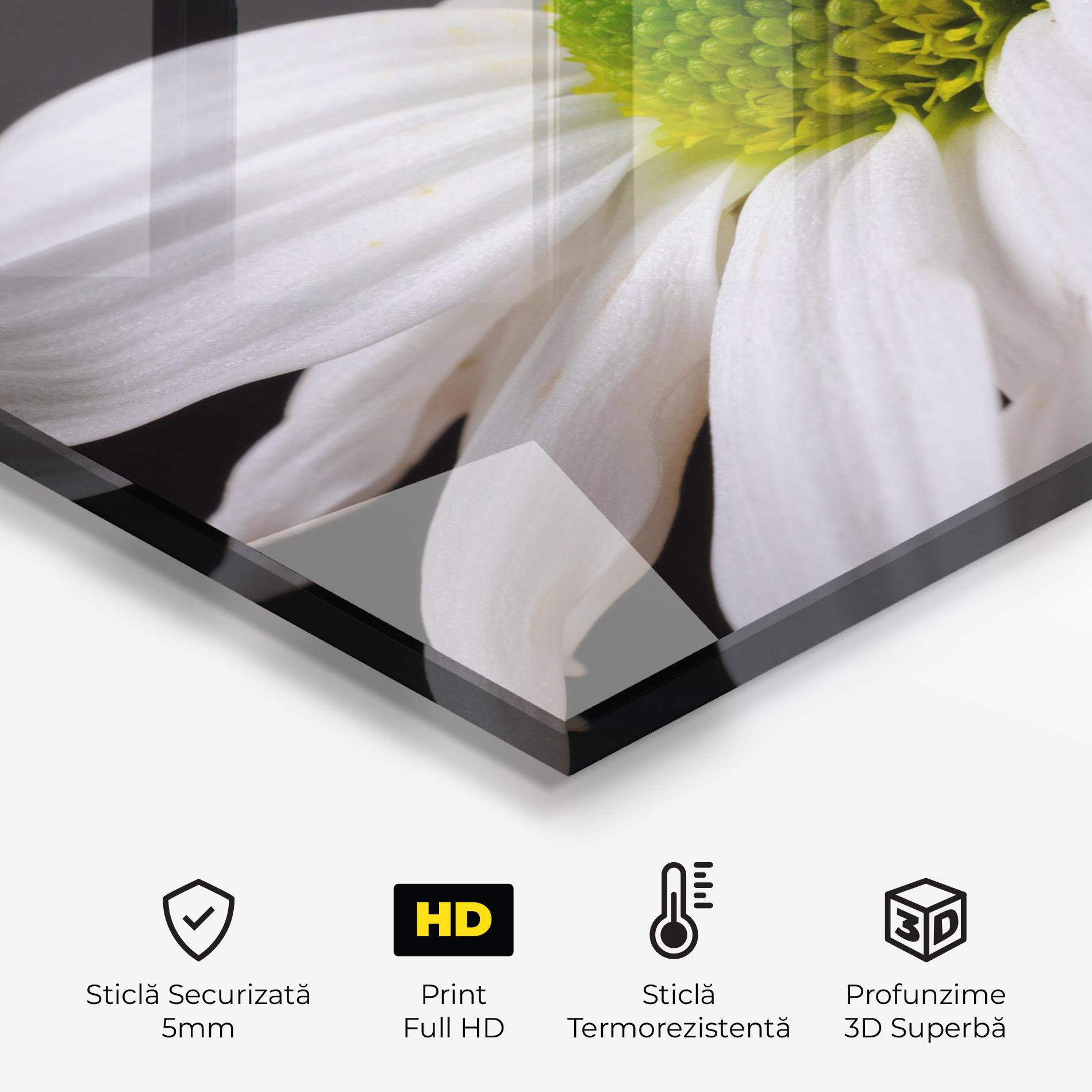 Panou Sticla Bucatarie Green Middle Daisy mockup 2