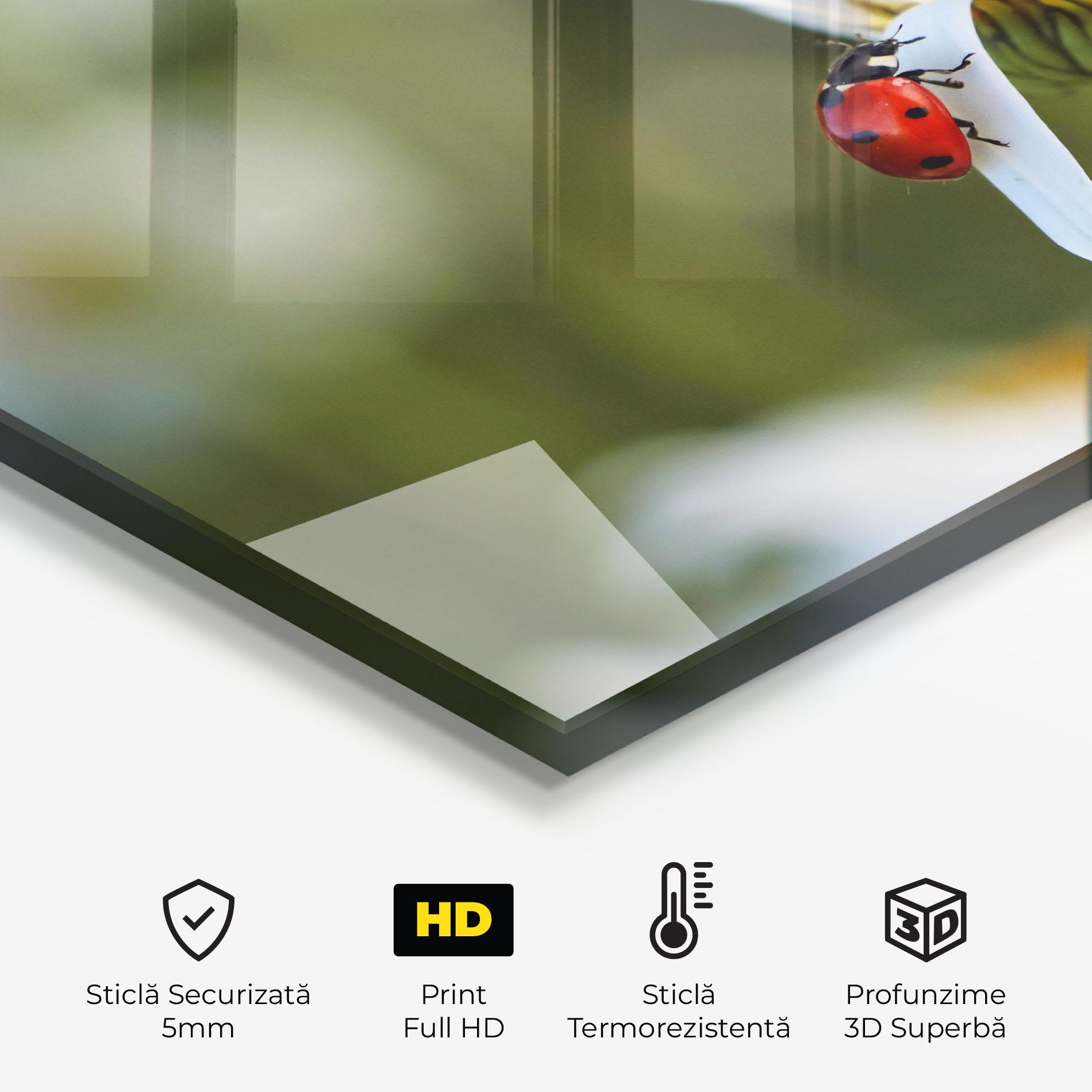 Panou Sticla Bucatarie Ladybug On Daisy Petal mockup 2