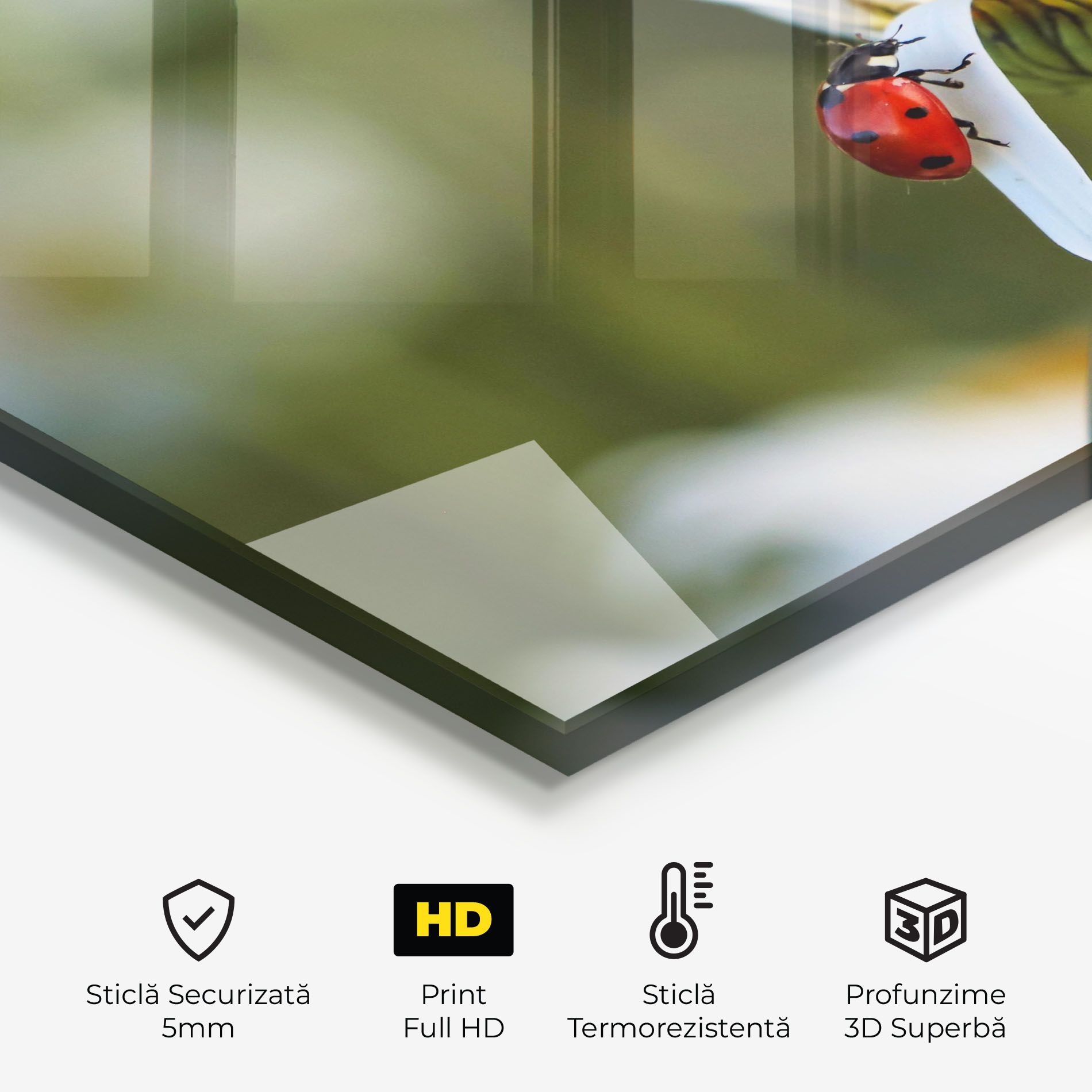 Ladybug On Daisy Petal mockup 2