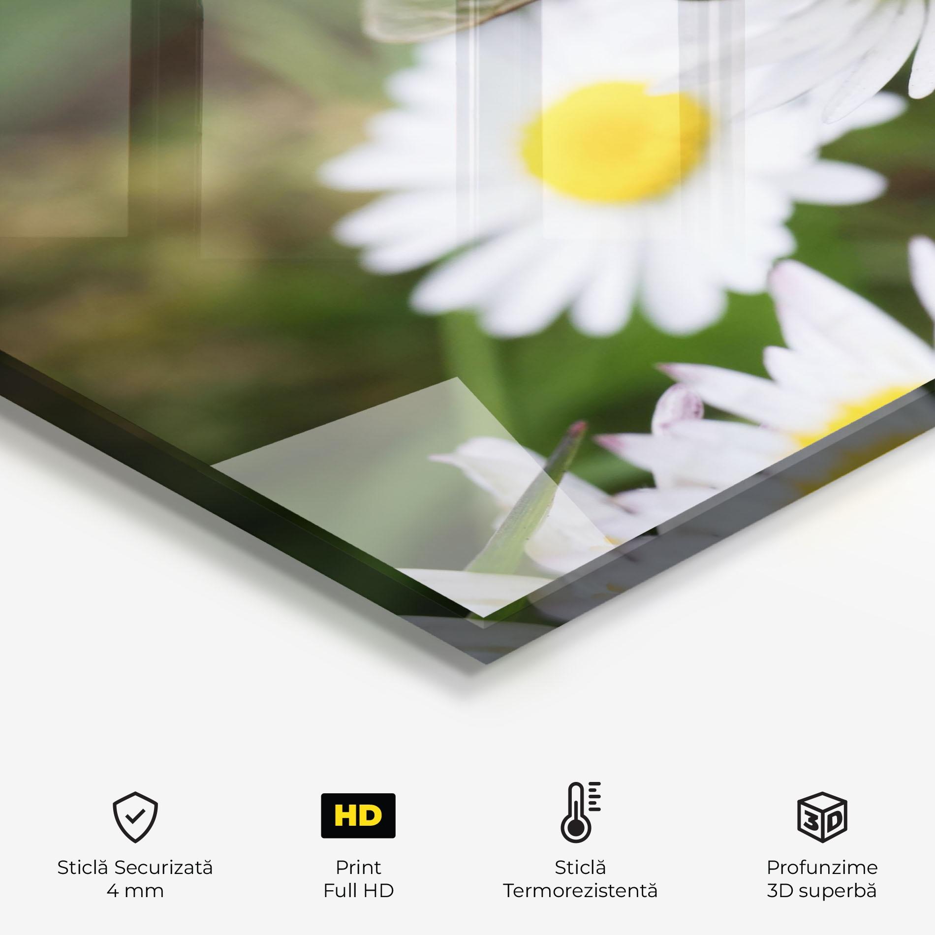 Panou Sticla Bucatarie Bee On Little Daisy mockup 2