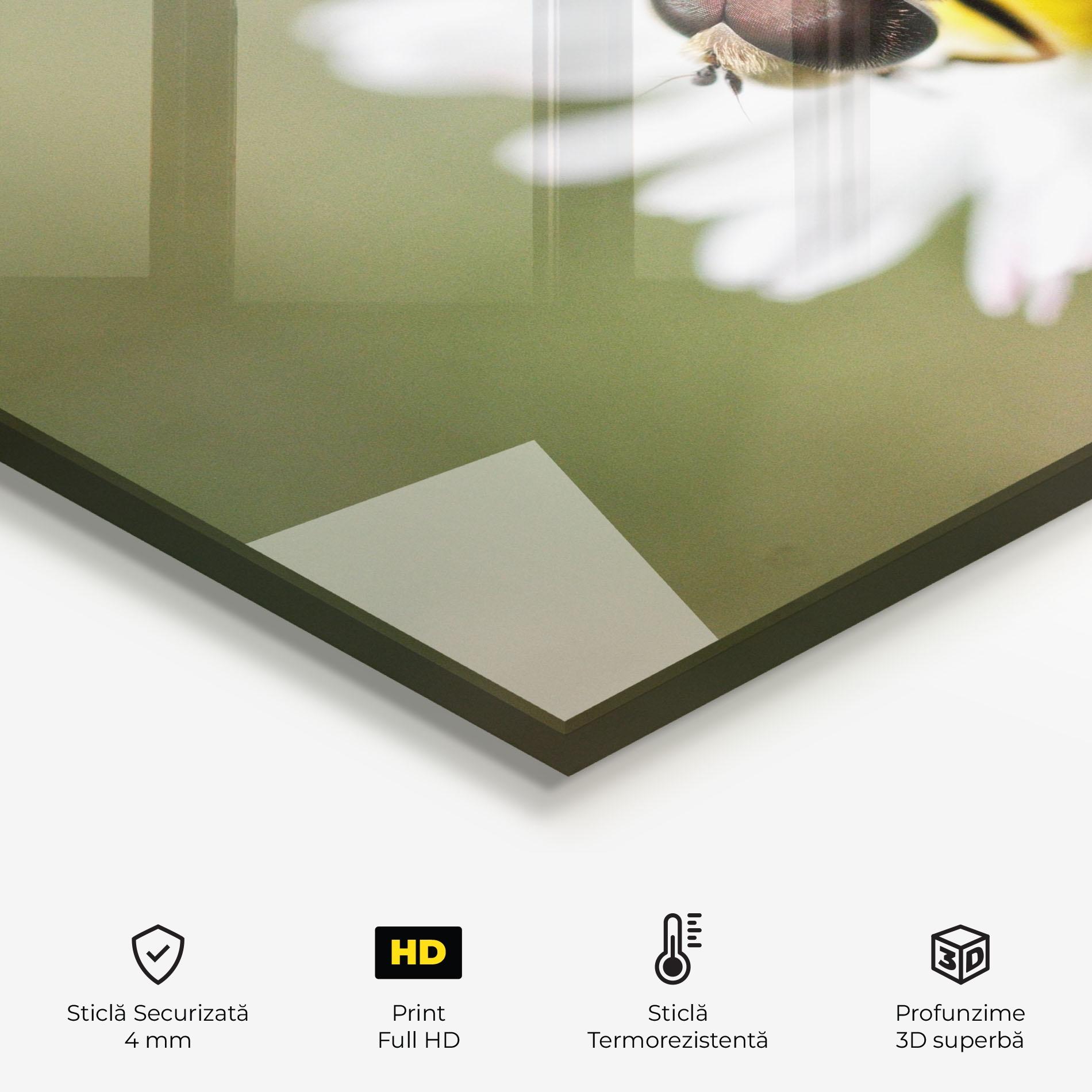 Panou Sticla Bucatarie Bee On Small Daisy mockup 2