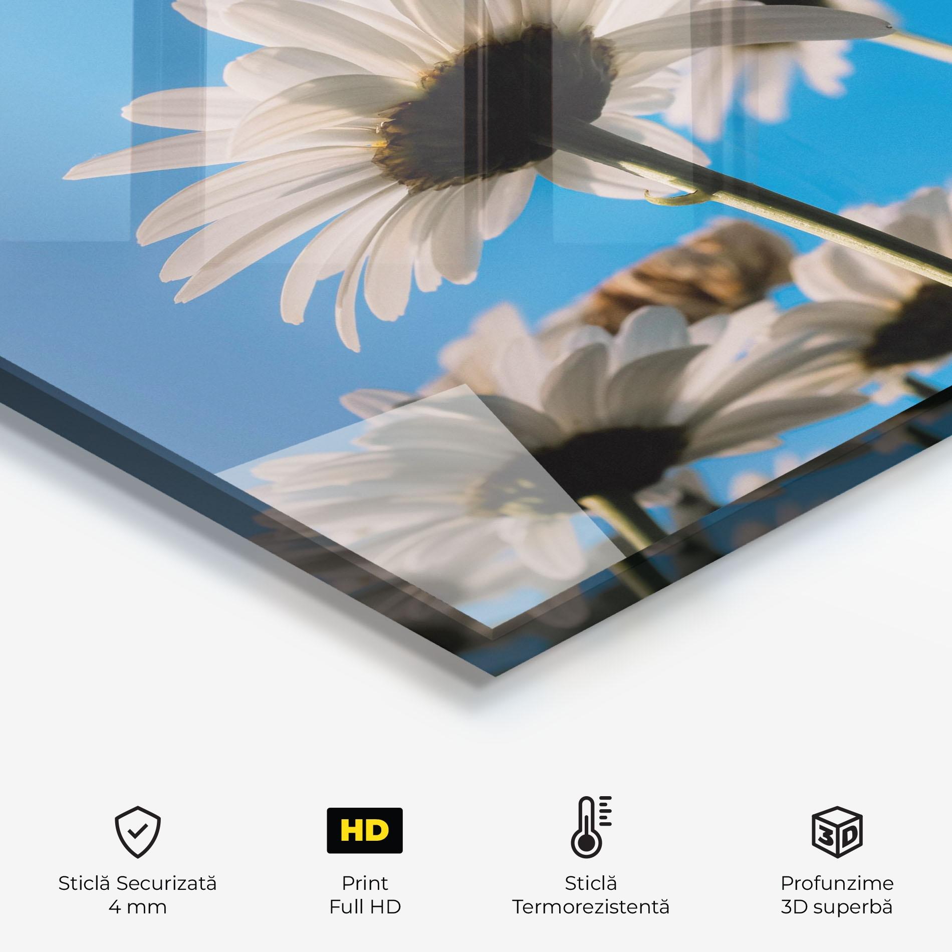Panou Sticla Bucatarie Blue Sky Daisy mockup 2
