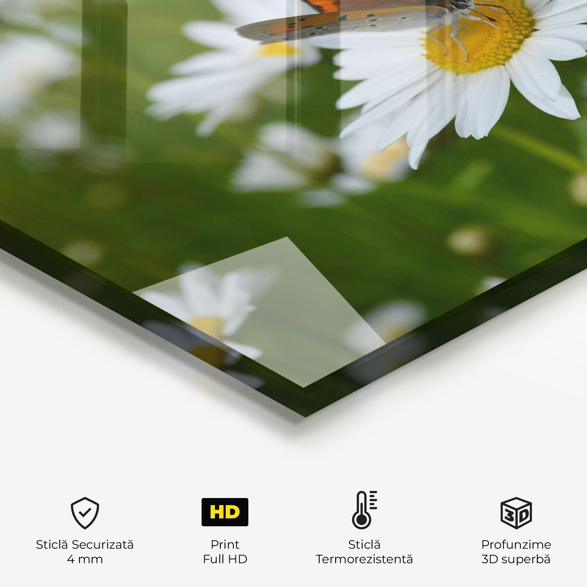 Panou Sticla Bucatarie Butterfly On Daisy mockup 2