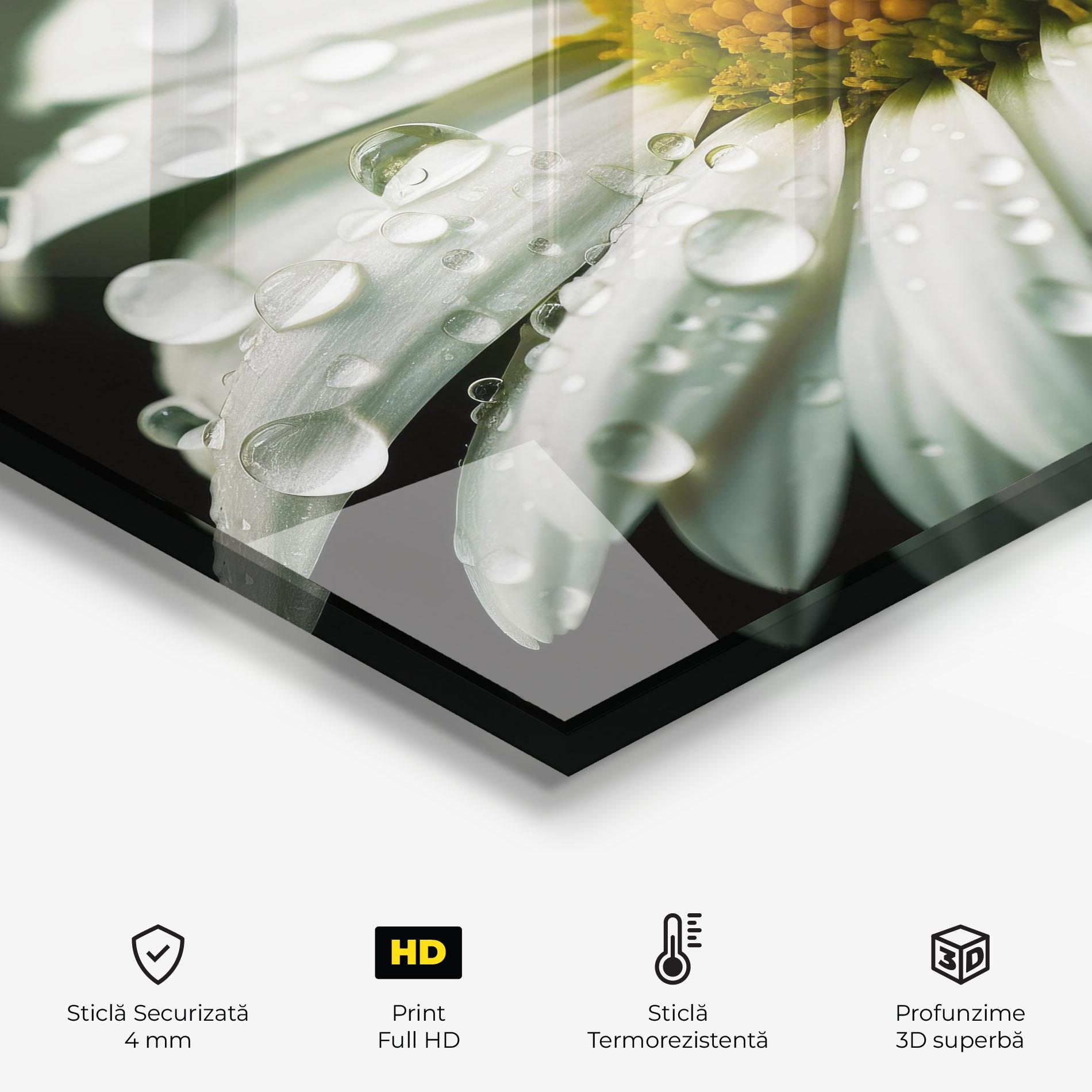 Panou Sticla Bucatarie Close Up Daisy After Rain mockup 2