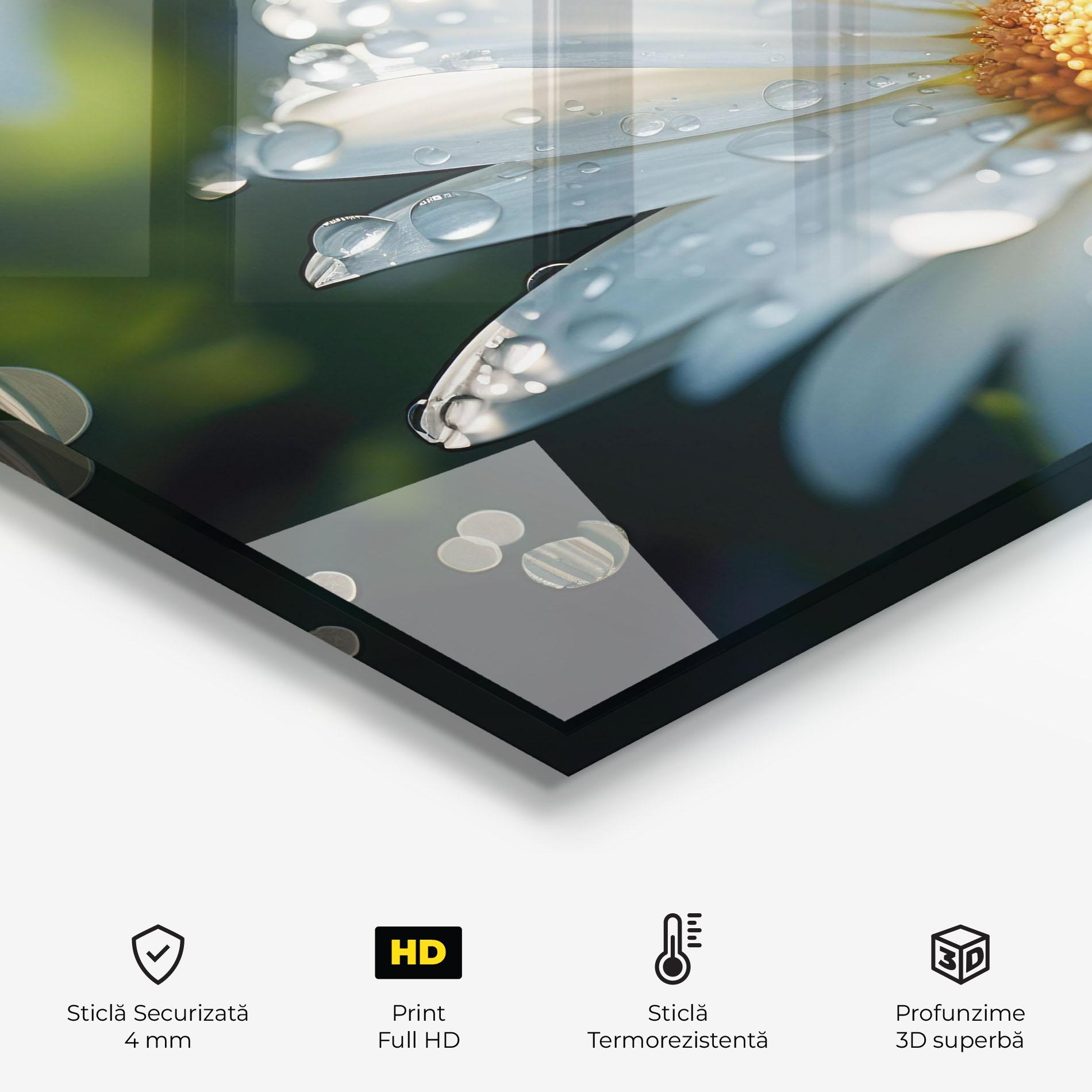 Panou Sticla Bucatarie Daisy After Rain Close Up mockup 2