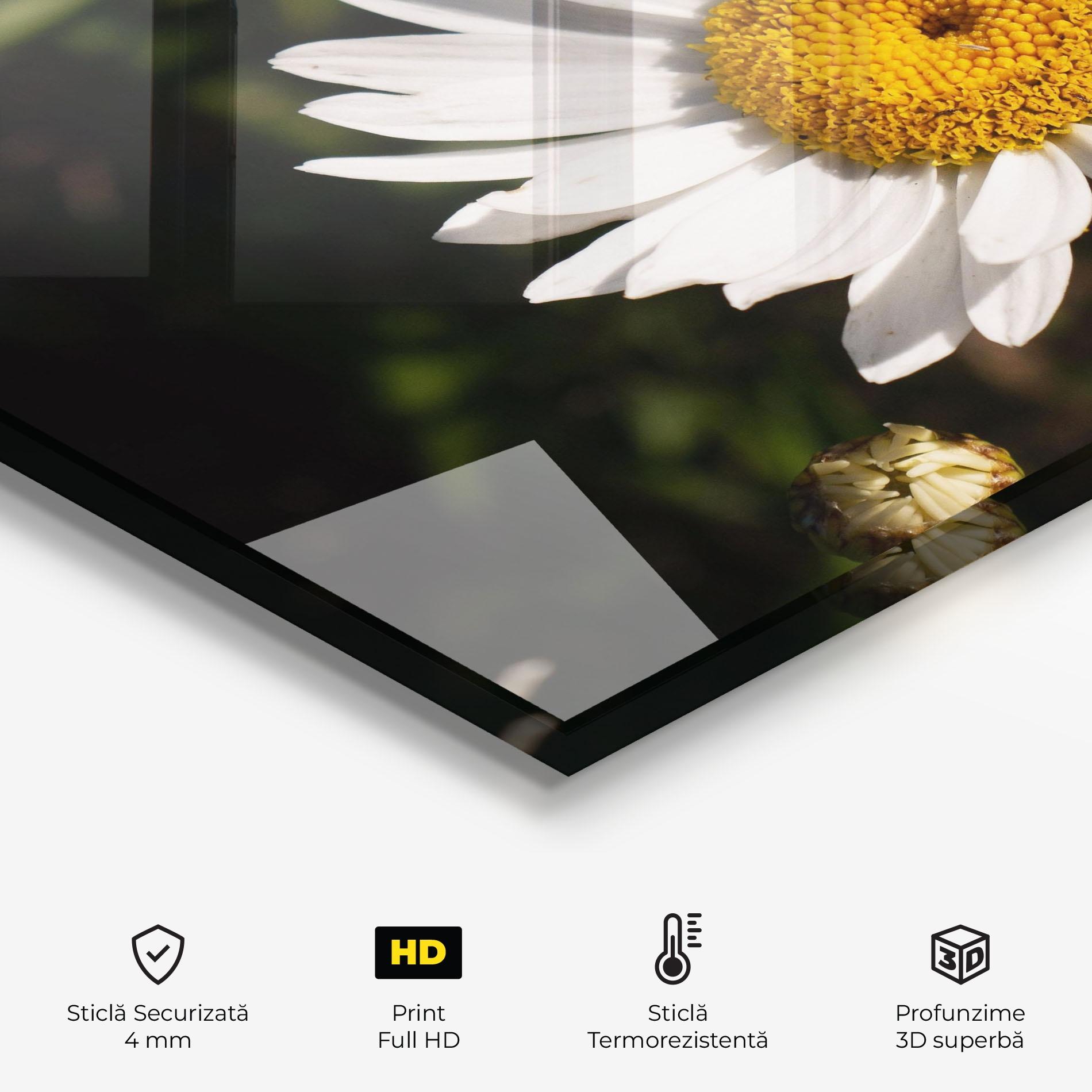 Panou Sticla Bucatarie Daisy Enjoying The Sun mockup 2