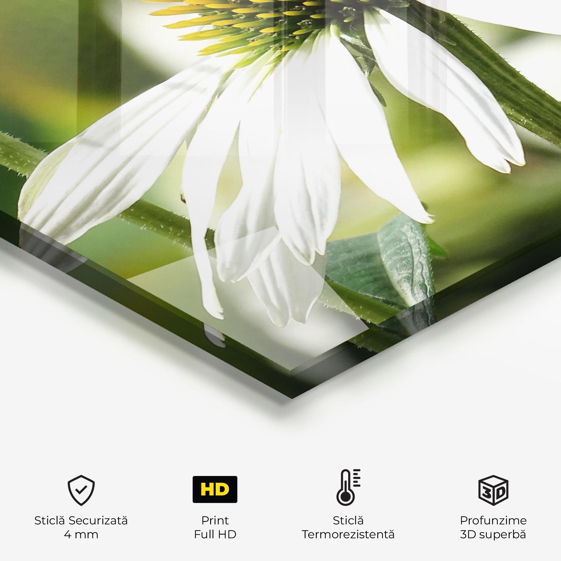 Panou Sticla Bucatarie Green Daisy mockup 2