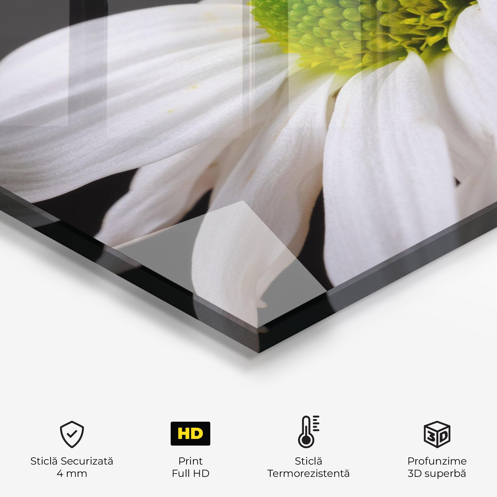 Panou Sticla Bucatarie Green Middle Daisy mockup 2