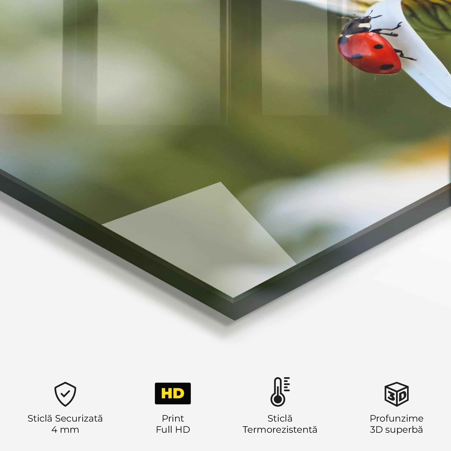 Panou Sticla Bucatarie Ladybug On Daisy Petal mockup 2