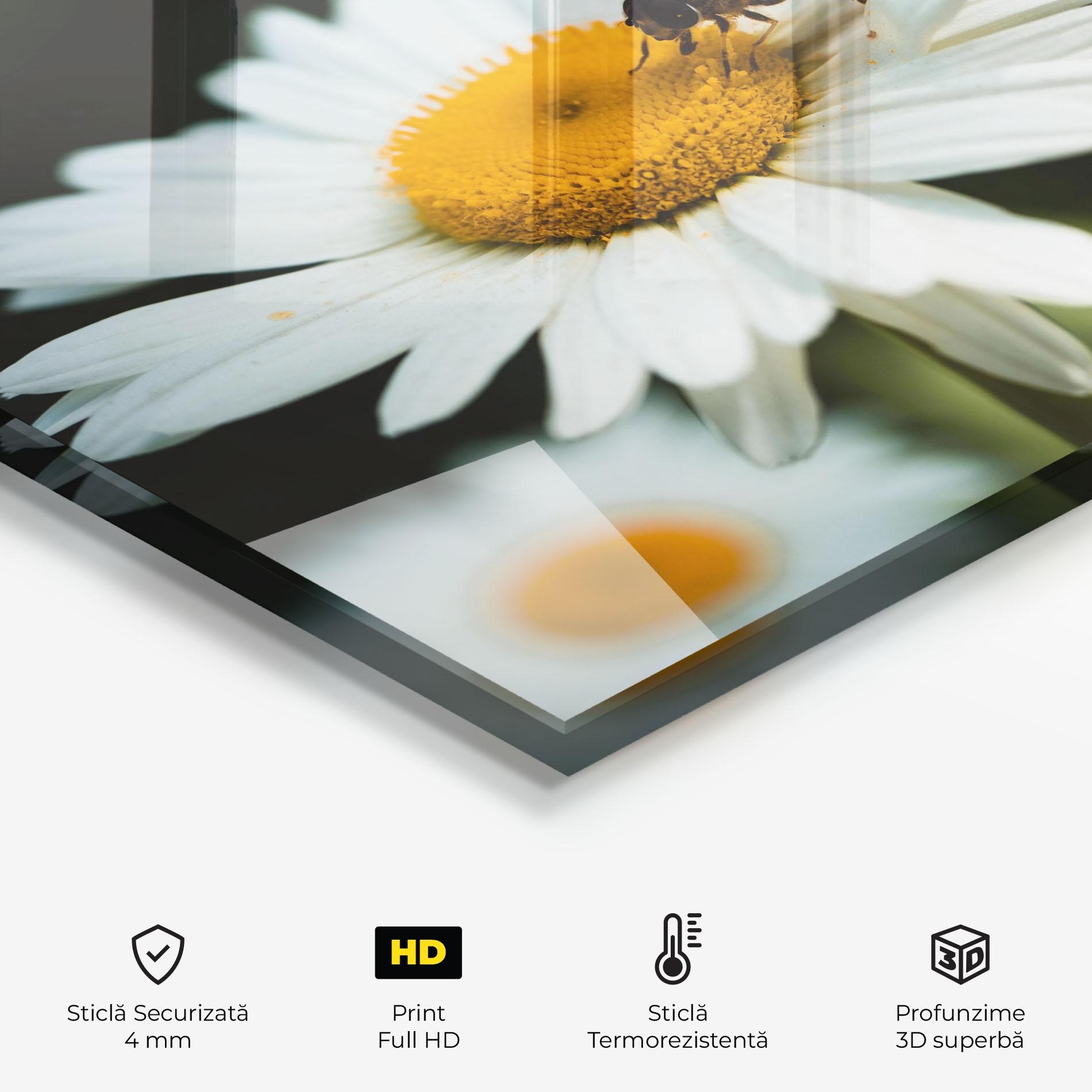 Panou Sticla Bucatarie Pollen From Daisy mockup 2