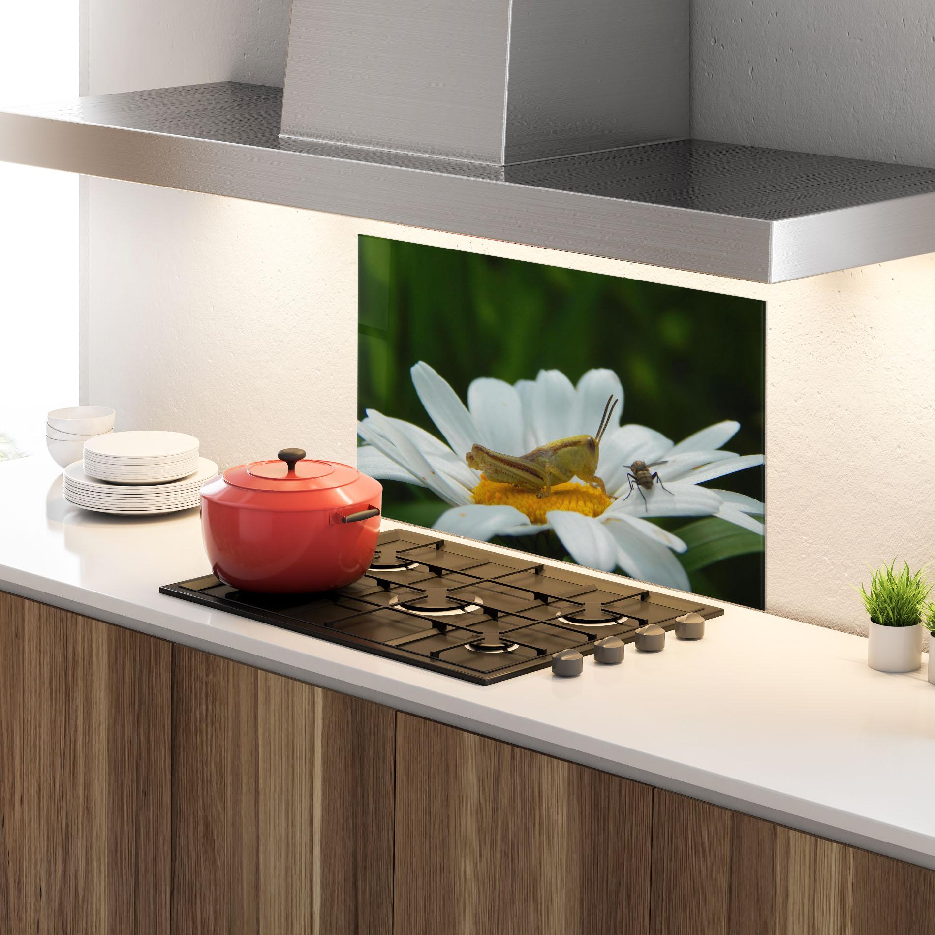 Panou Sticla Bucatarie Cricket On Daisy mockup 4