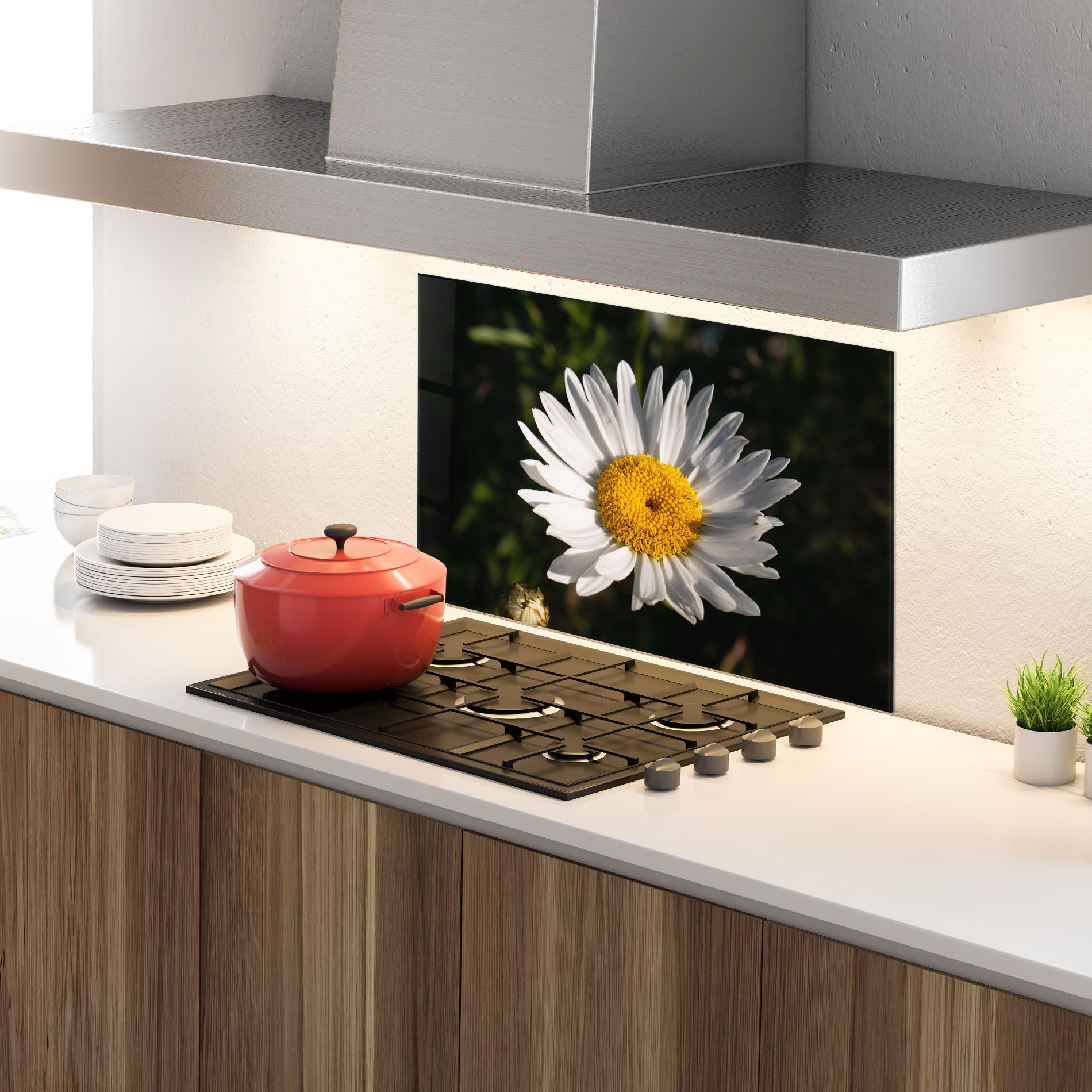 Daisy Enjoying The Sun mockup 4