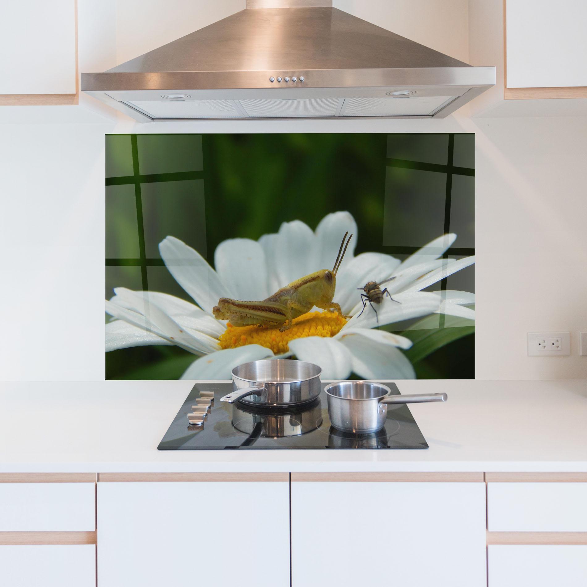 Panou Sticla Bucatarie Cricket On Daisy mockup 5