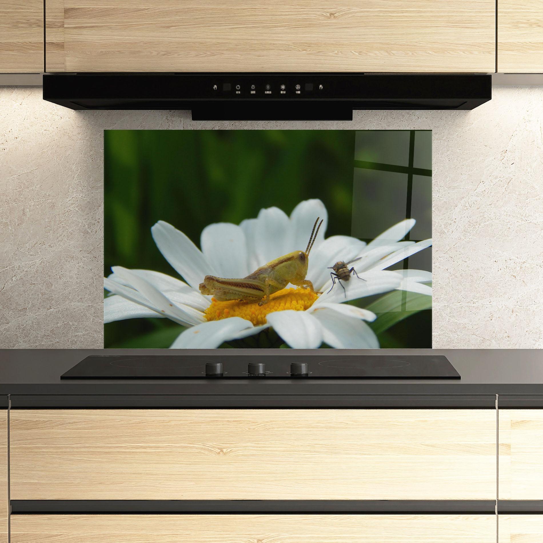 Panou Sticla Bucatarie Cricket On Daisy mockup 3