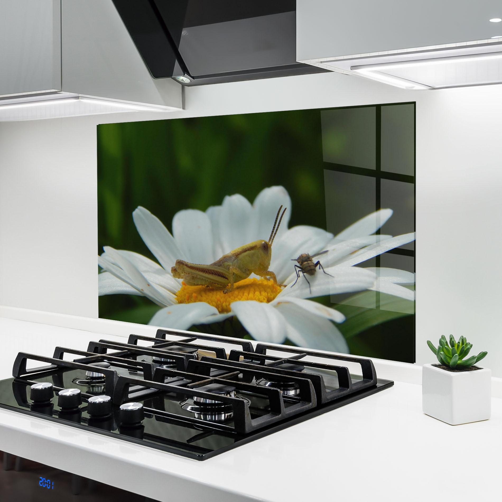 Panou Sticla Bucatarie Cricket On Daisy mockup 6