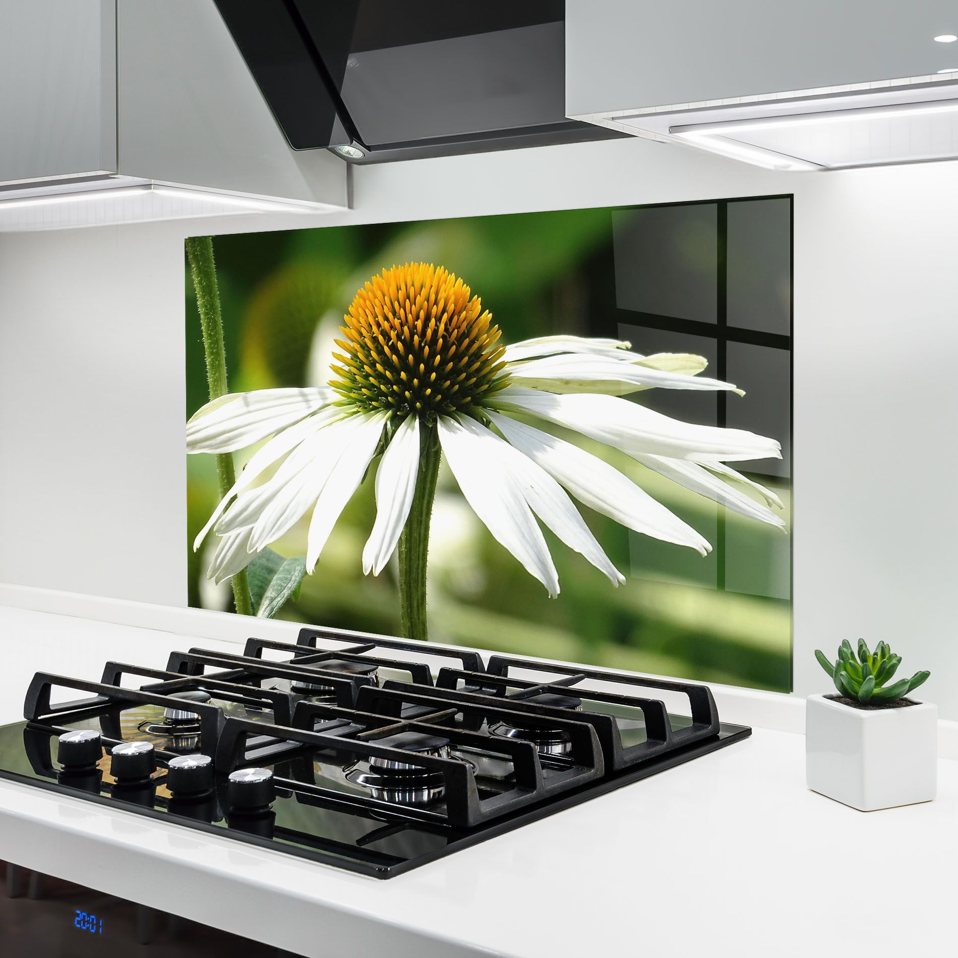 Green Daisy mockup 6