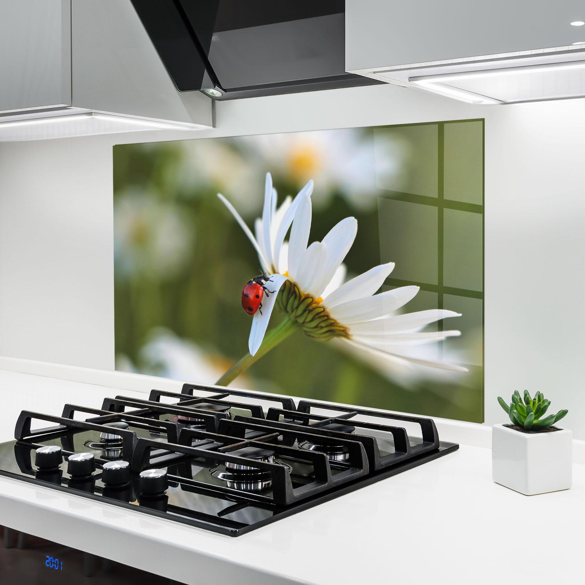 Panou Sticla Bucatarie Ladybug On Daisy Petal mockup 6