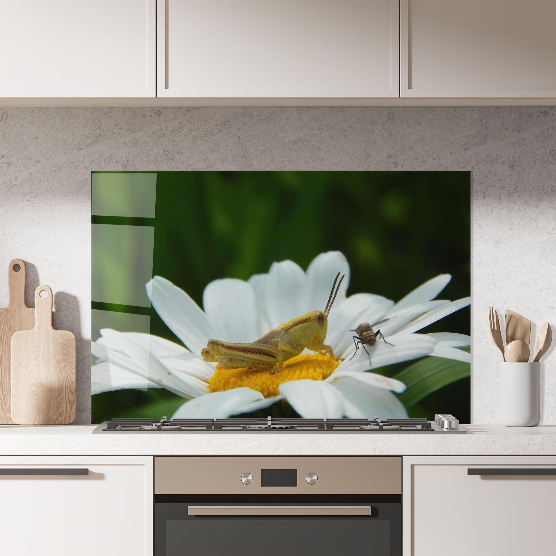 Panou Sticla Bucatarie Cricket On Daisy mockup 7