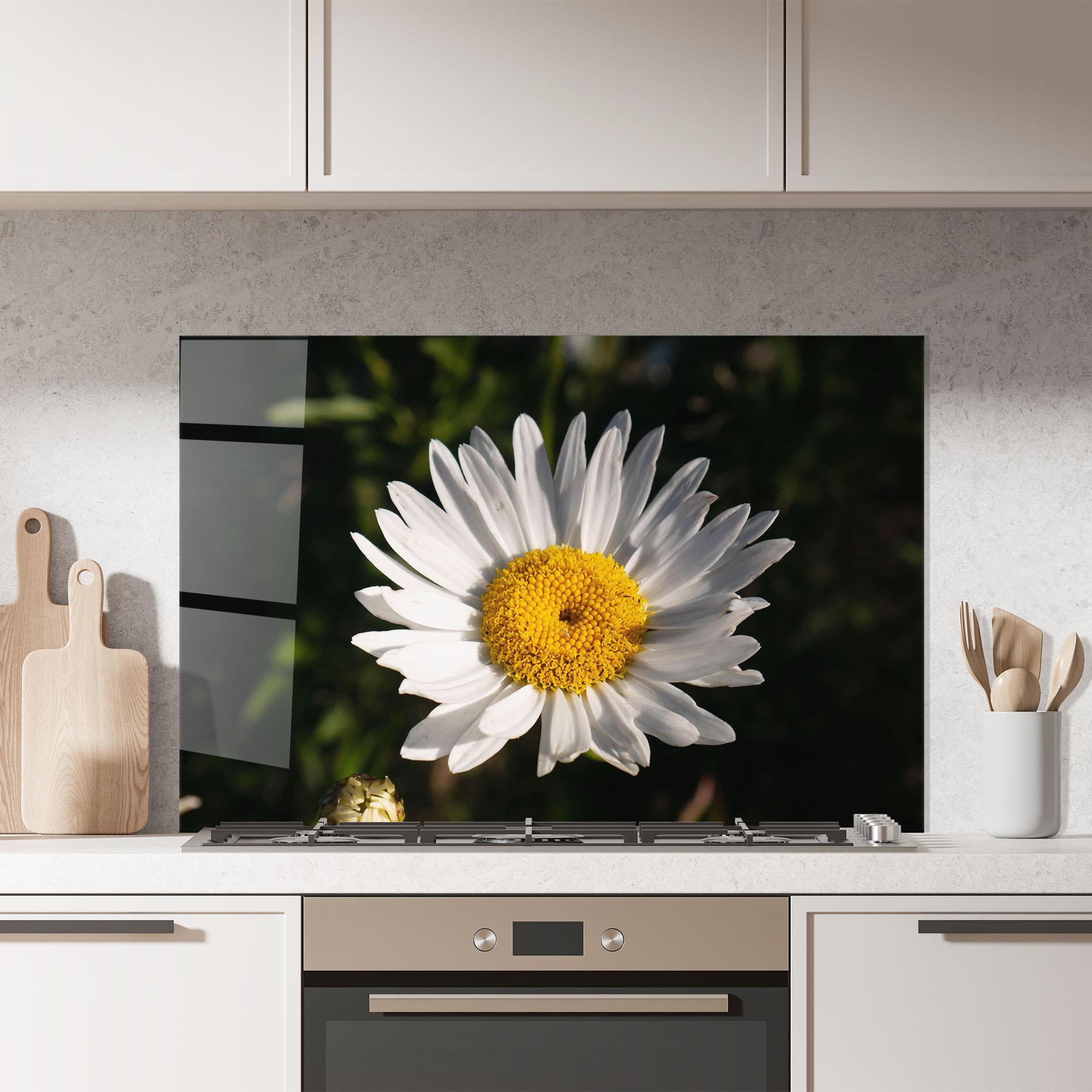 Panou Sticla Bucatarie Daisy Enjoying The Sun mockup 7