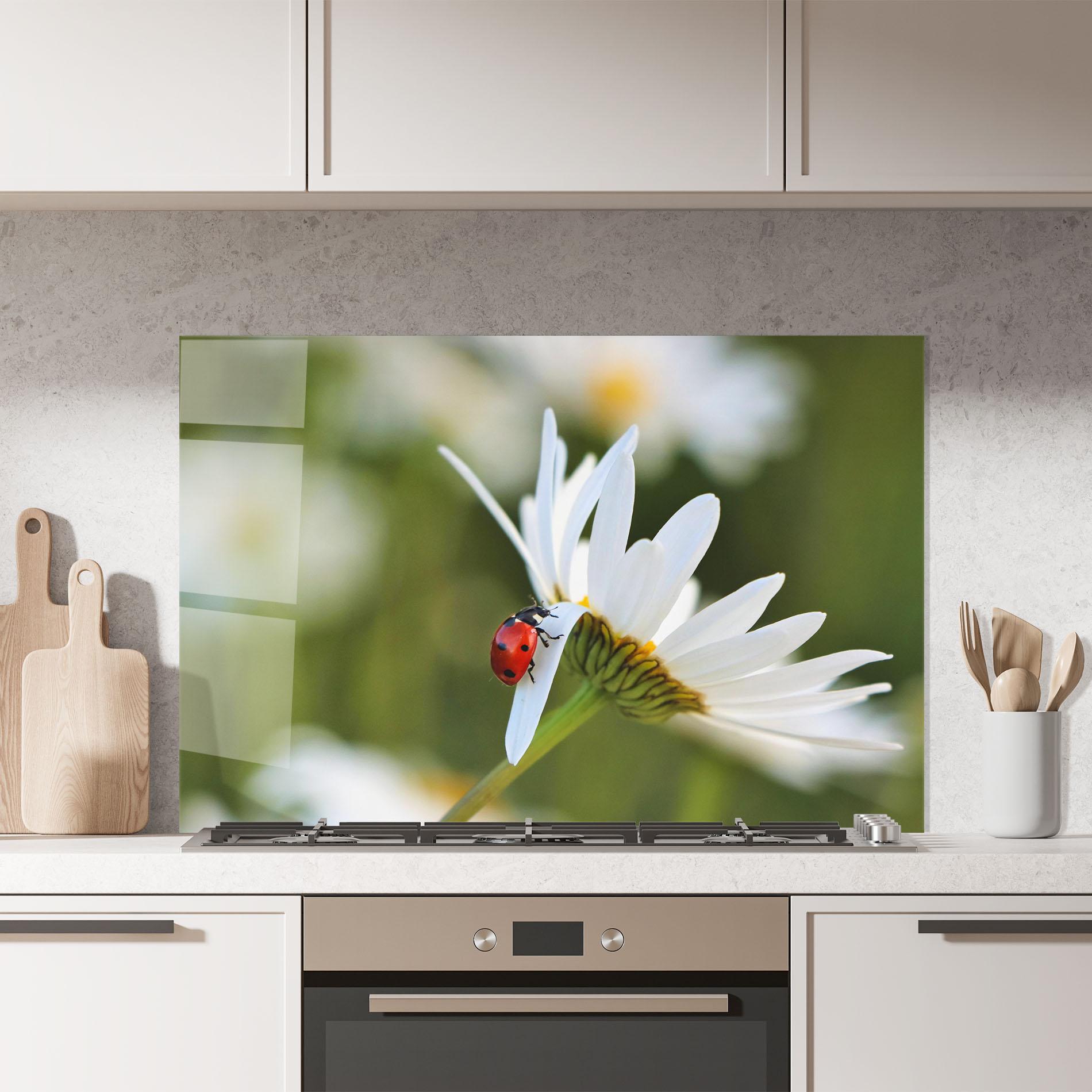 Panou Sticla Bucatarie Ladybug On Daisy Petal mockup 7