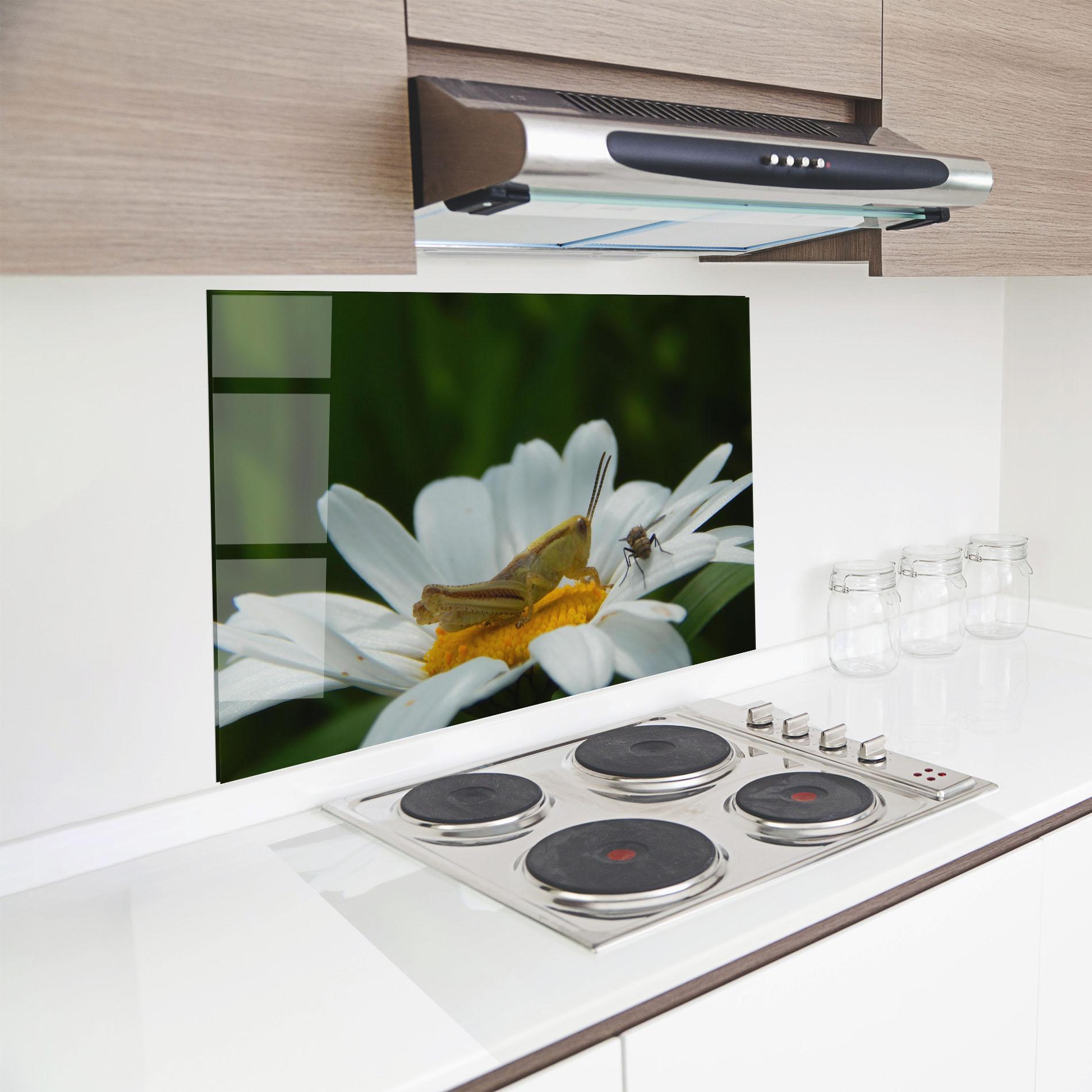 Panou Sticla Bucatarie Cricket On Daisy mockup 8