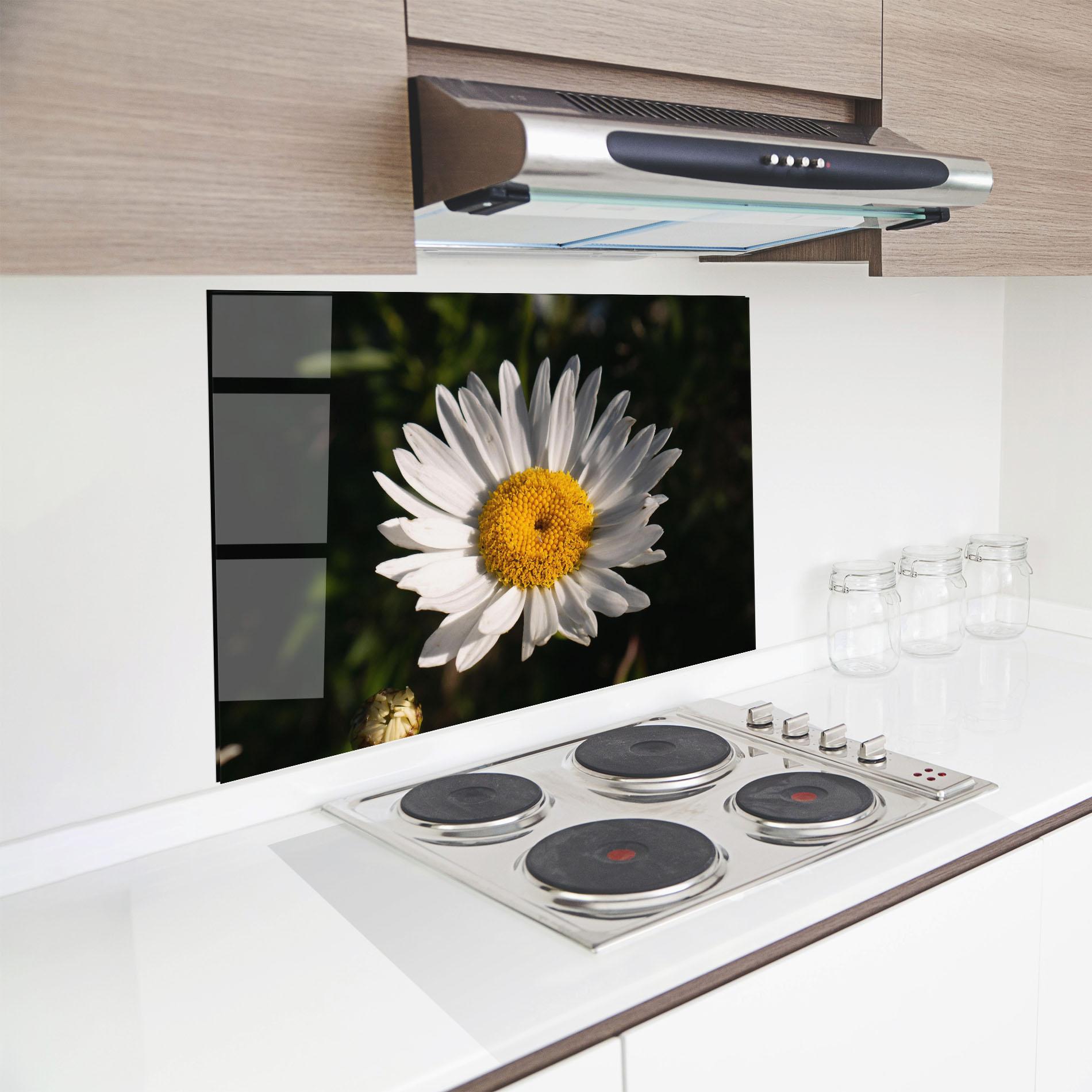 Panou Sticla Bucatarie Daisy Enjoying The Sun mockup 8