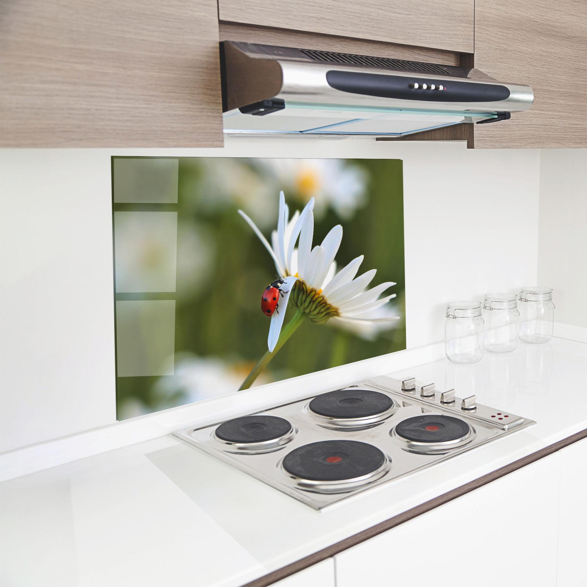 Panou Sticla Bucatarie Ladybug On Daisy Petal mockup 8