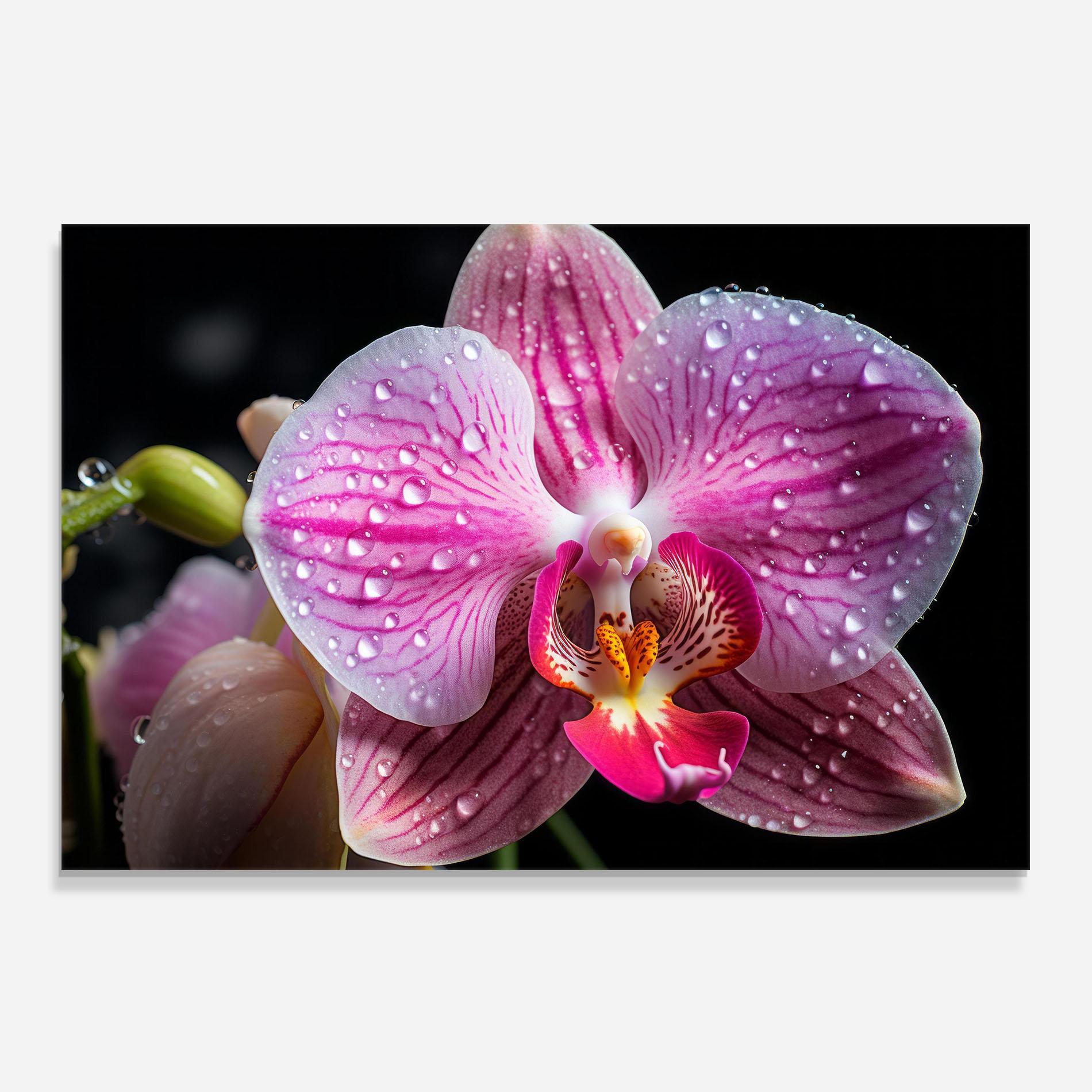 Panou Sticla Bucatarie Pretty Orchid After Rain mockup 0