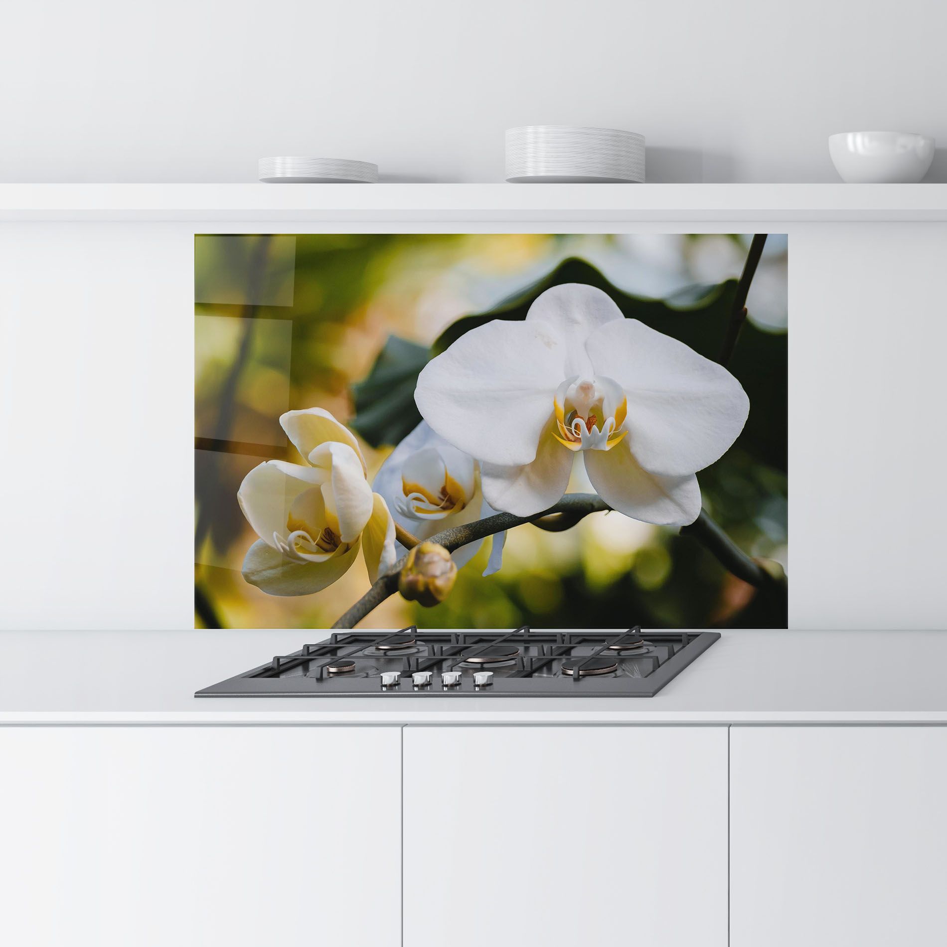 Cream Orchid In Nature mockup 9