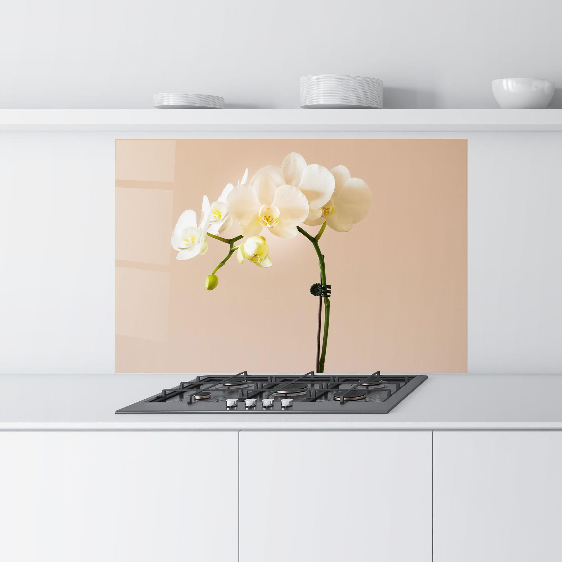 Panou Sticla Bucatarie Cream Orchid On Pink mockup 9