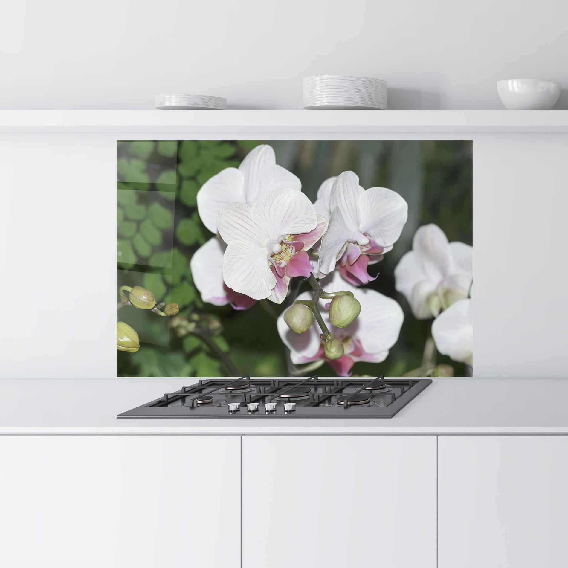 Panou Sticla Bucatarie Orchid Botanical Garden mockup 9