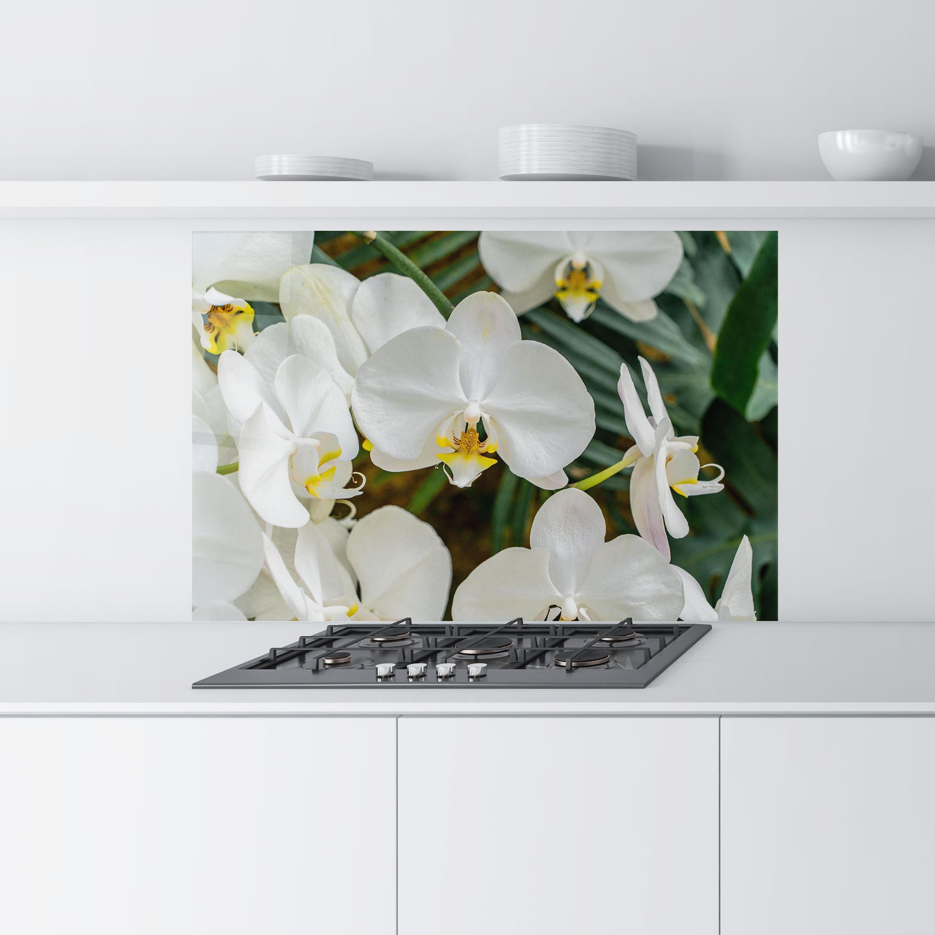 Orchids In Nature mockup 9