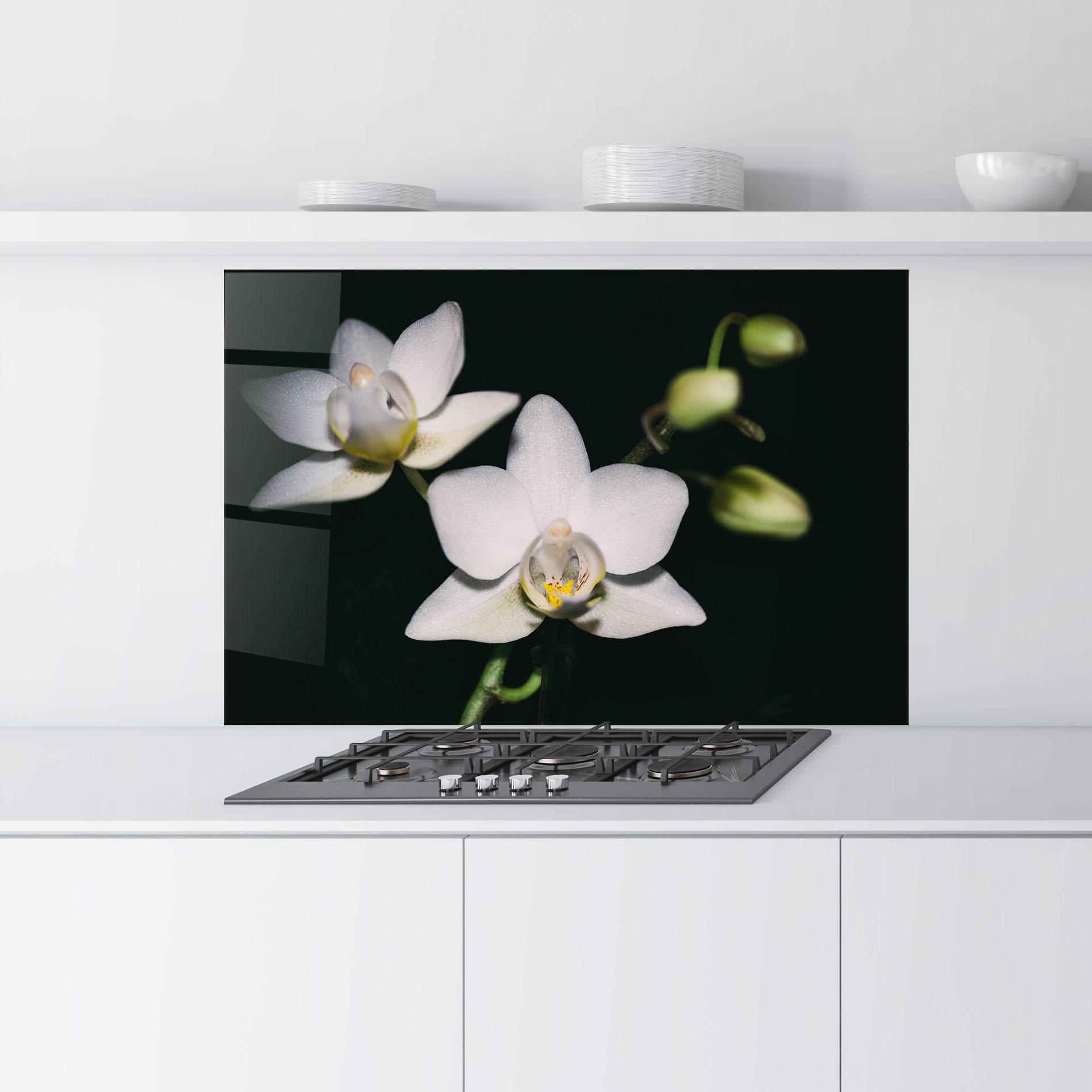 Panou Sticla Bucatarie Orchids On Black mockup 9